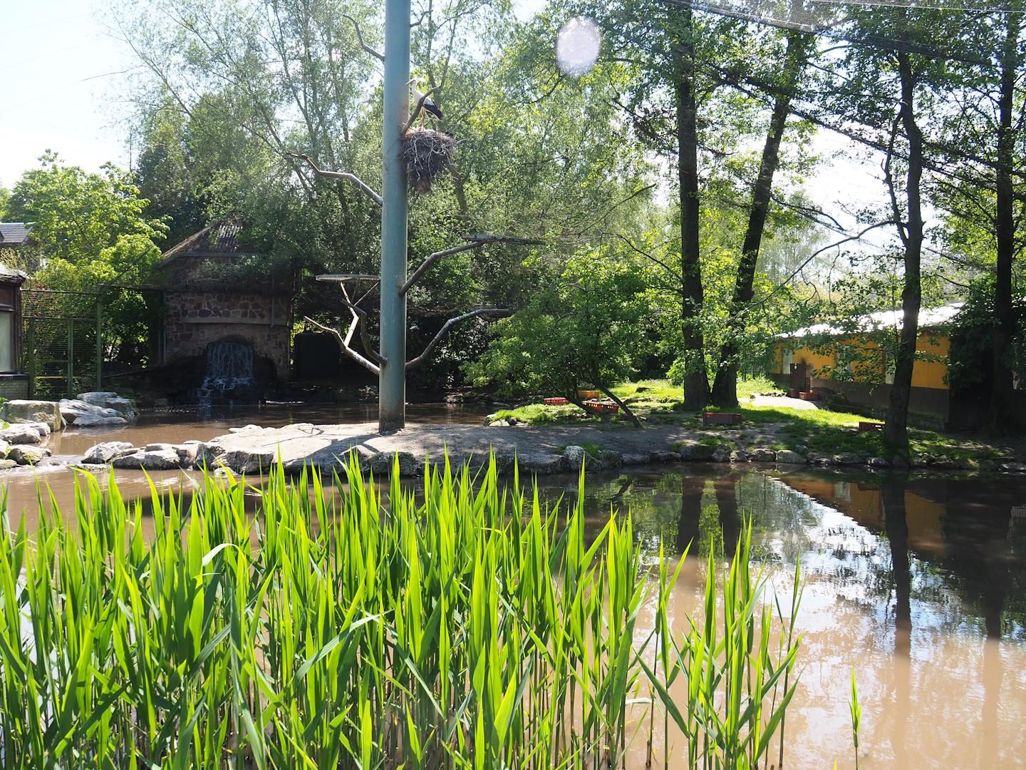 Walk-through aviary, 2023-05-19