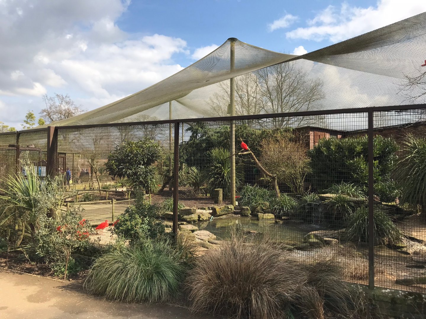 Walk-through aviary 250318