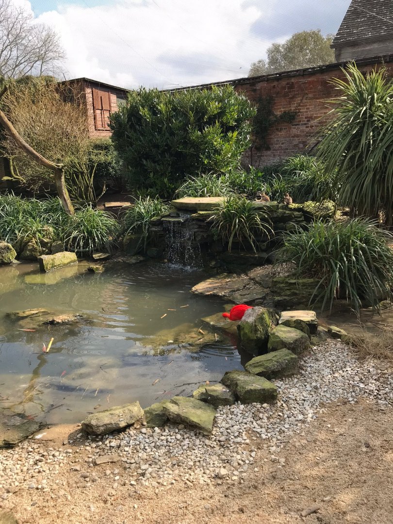 Walk-through aviary 250318