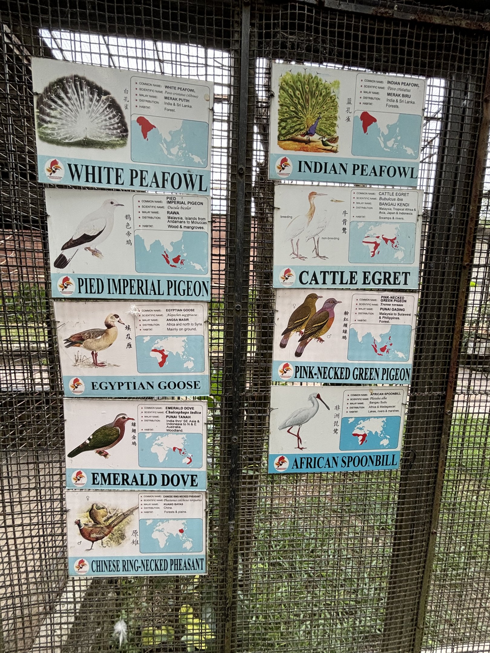 Walk-through Aviary #3 - sign