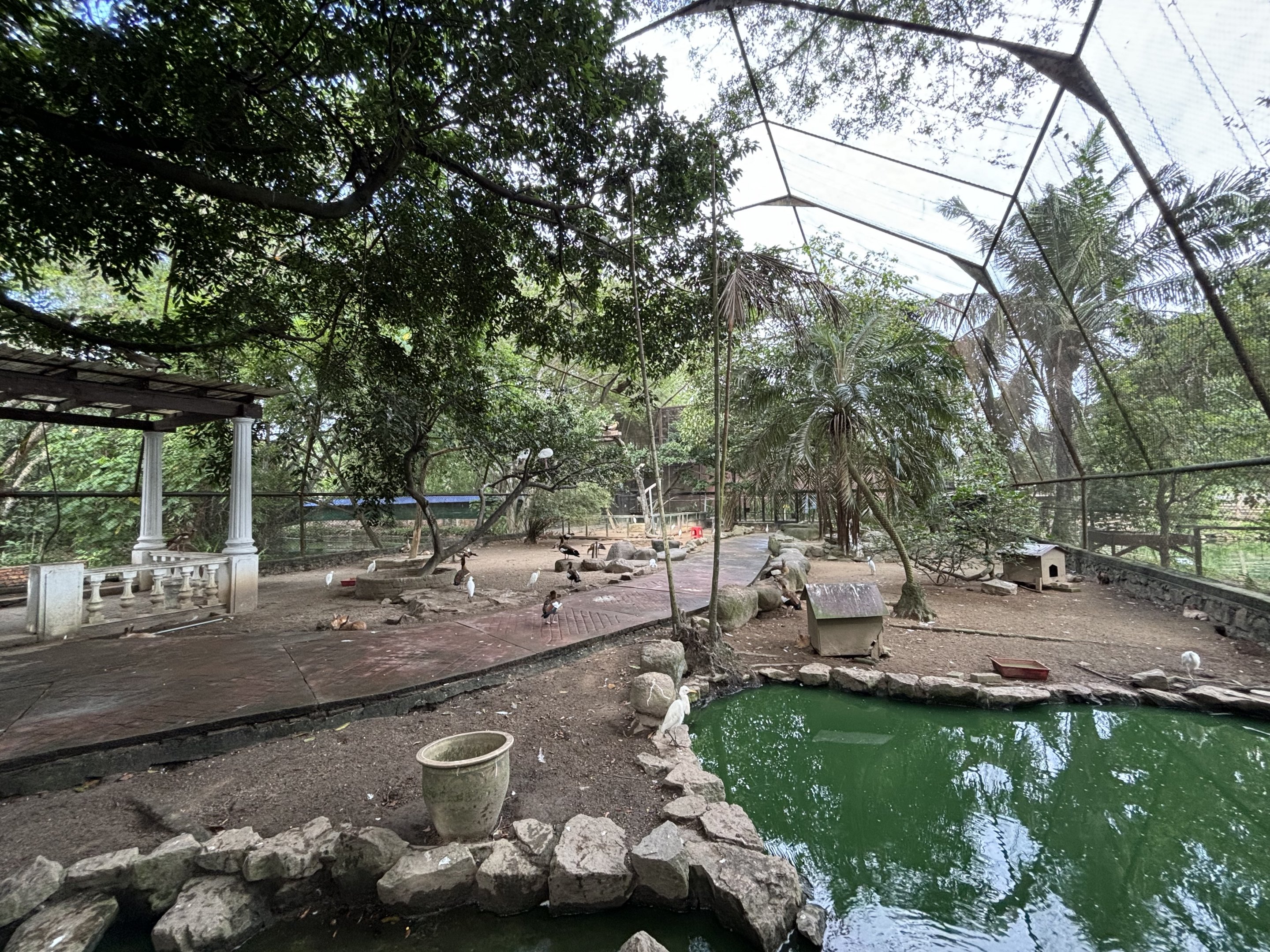 Walk-through Aviary #3