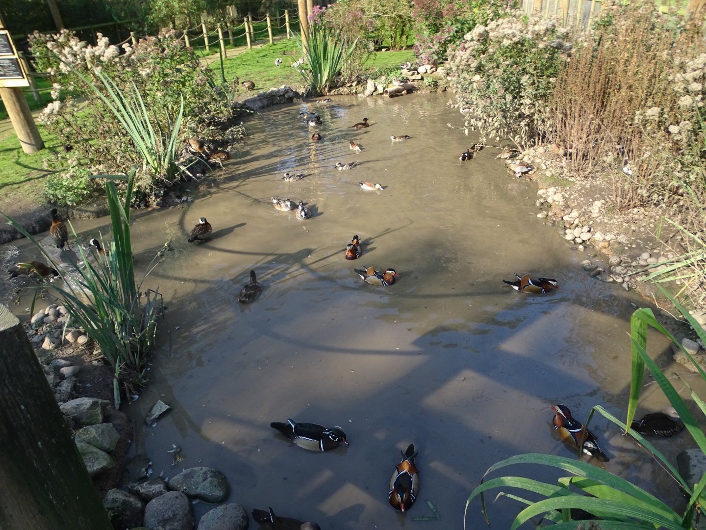 Walk-through aviary, 5th October 2024