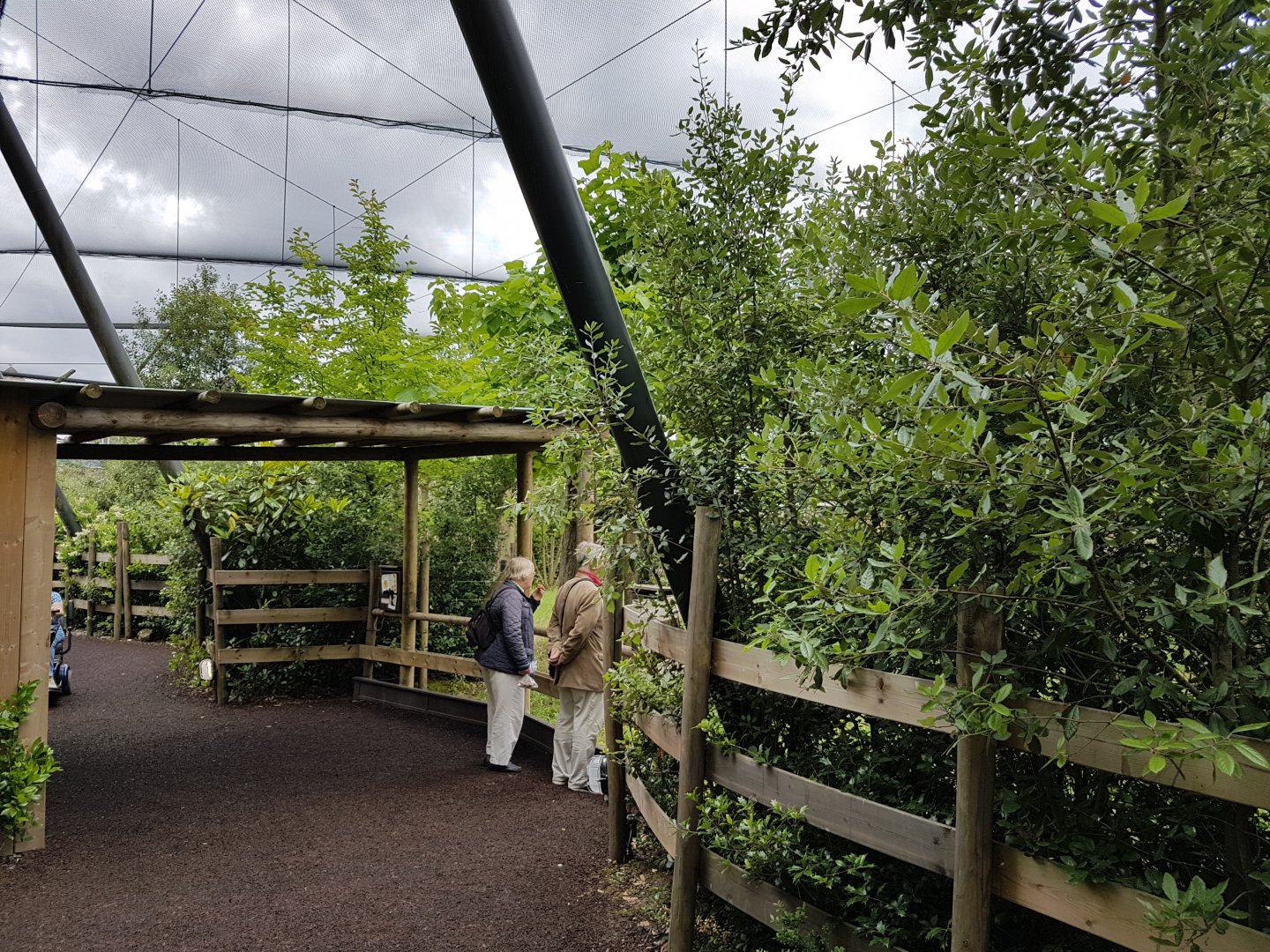 Walk-through aviary along Okapi out-side enclosure