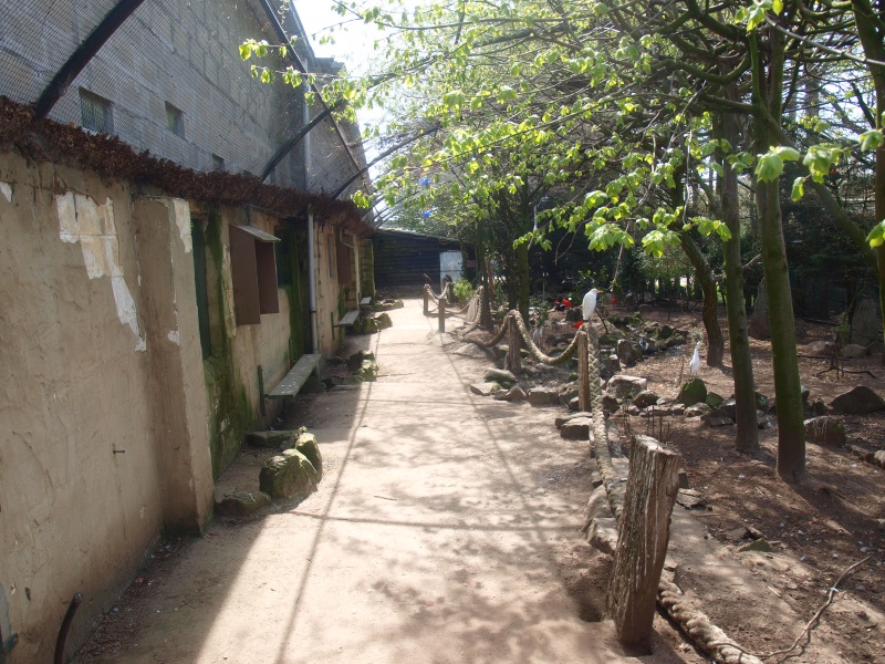 Walk-through aviary (April 19th, 2015)