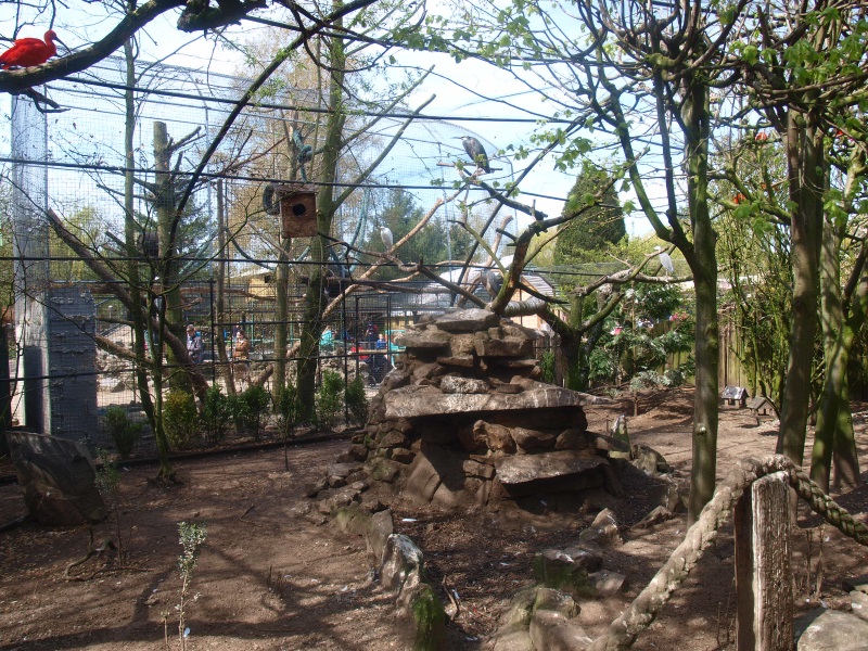 Walk-through aviary (April 19th, 2015)