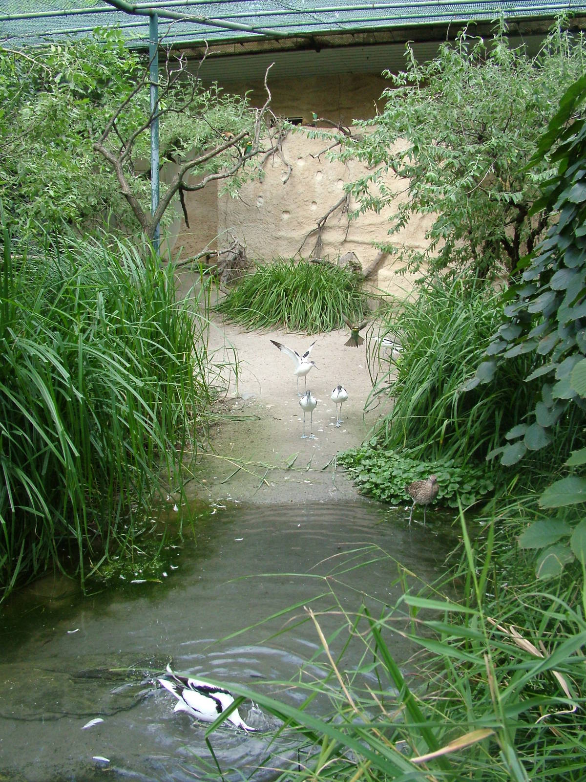 Walk-through Aviary at Frankfurt 31/08/10