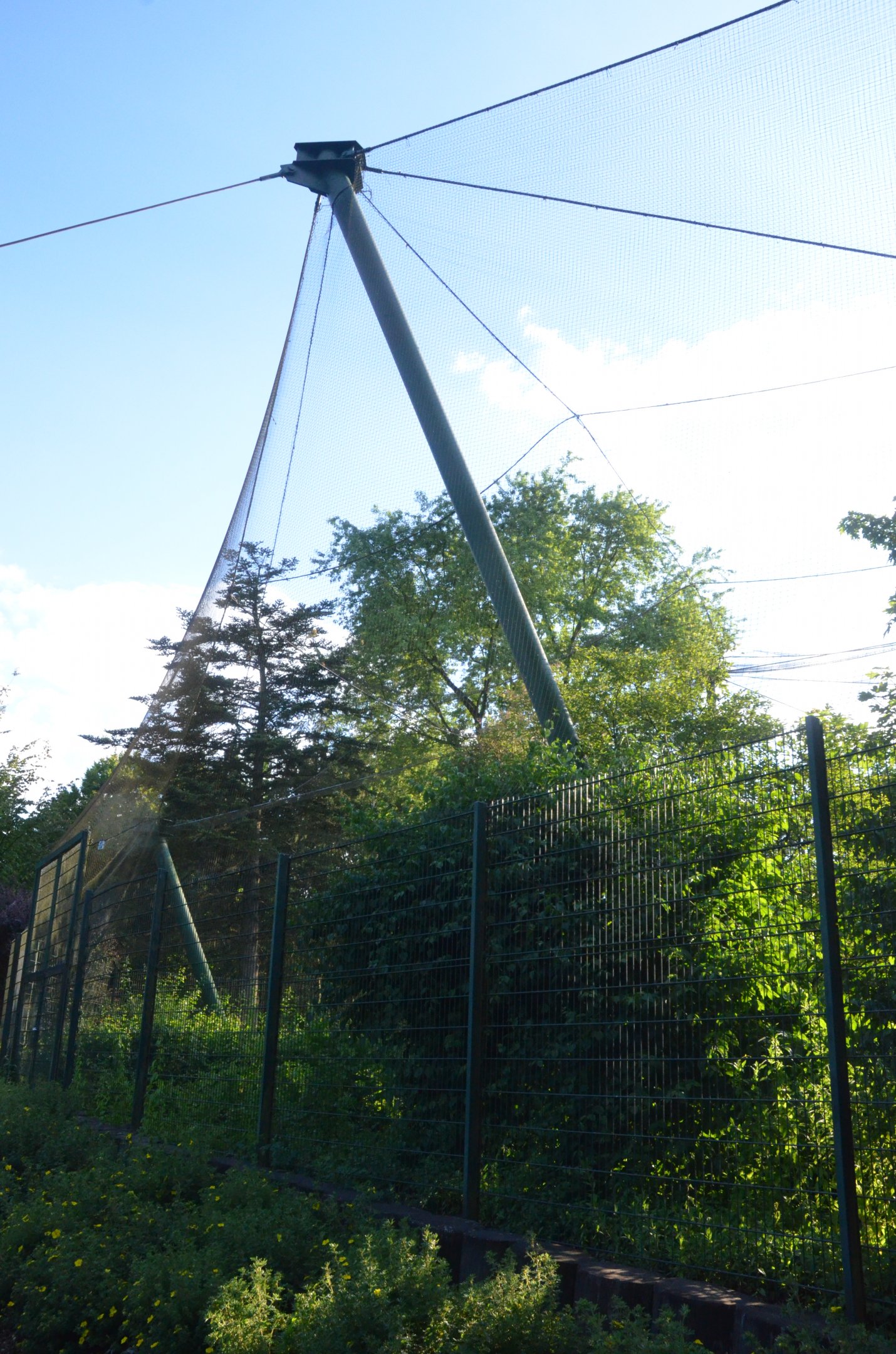 Walk-through Aviary at Grugapark, 17/06/19