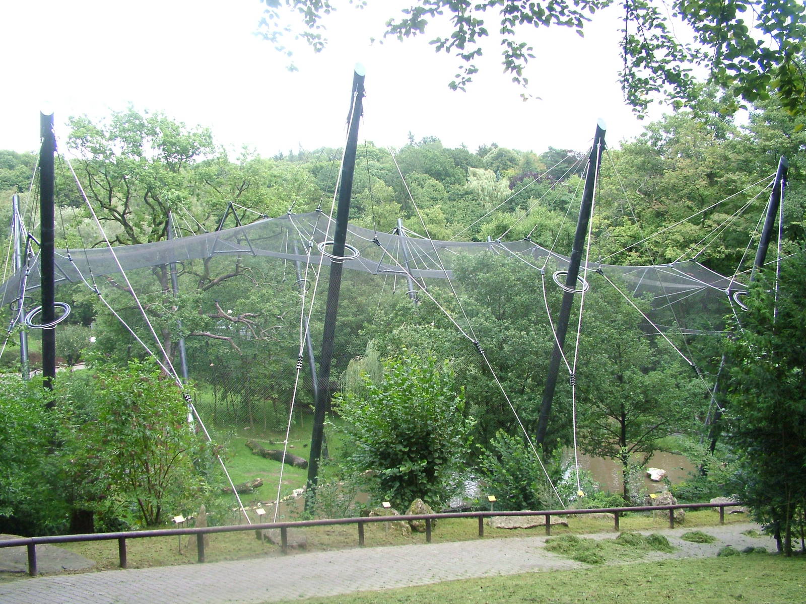 Walk-through Aviary at Opel-Zoo Kronberg, 30/08/10