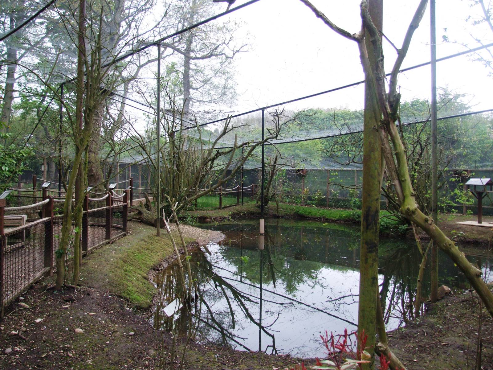Walk-through Aviary at Tropical Birdland, 18/05/13