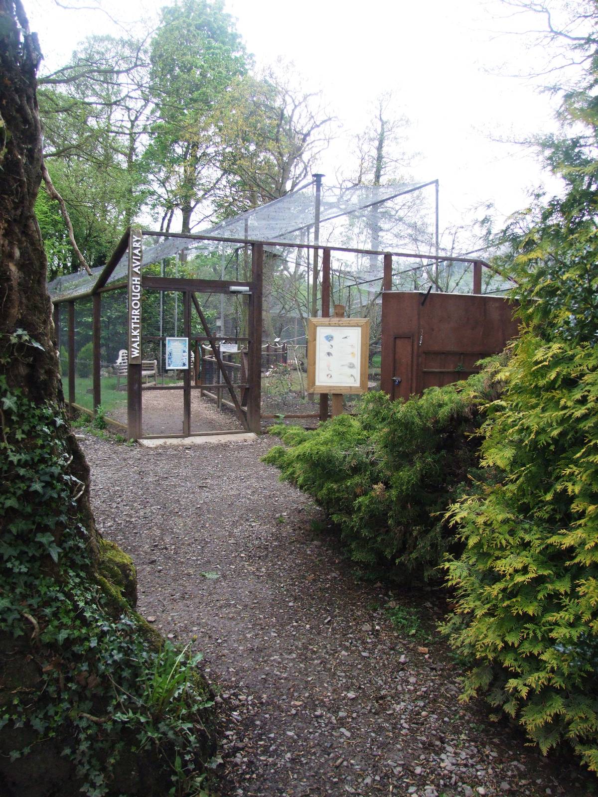 Walk-through Aviary at Tropical Birdland, 18/05/13