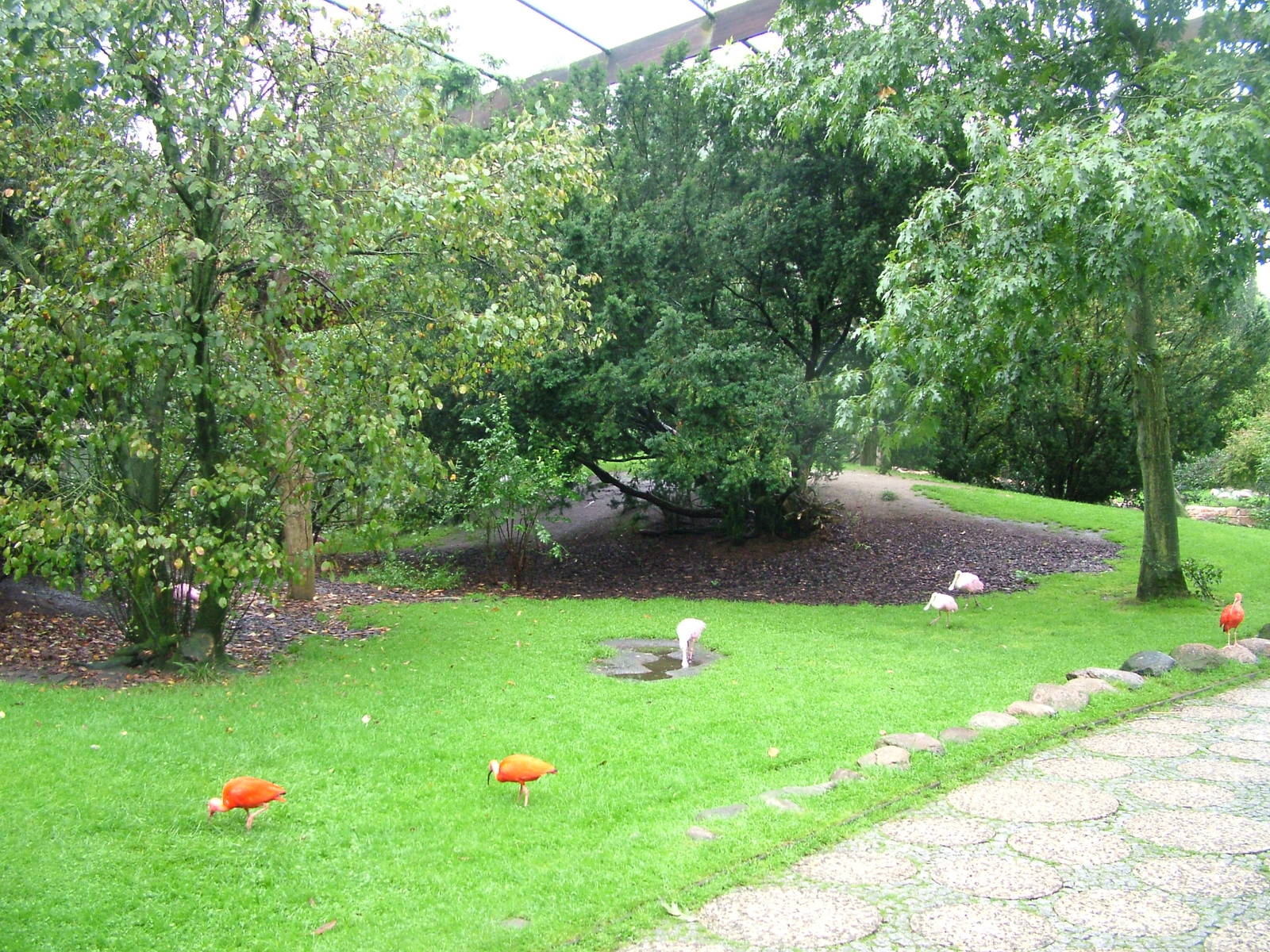 Walk-through aviary at Walsrode 2007