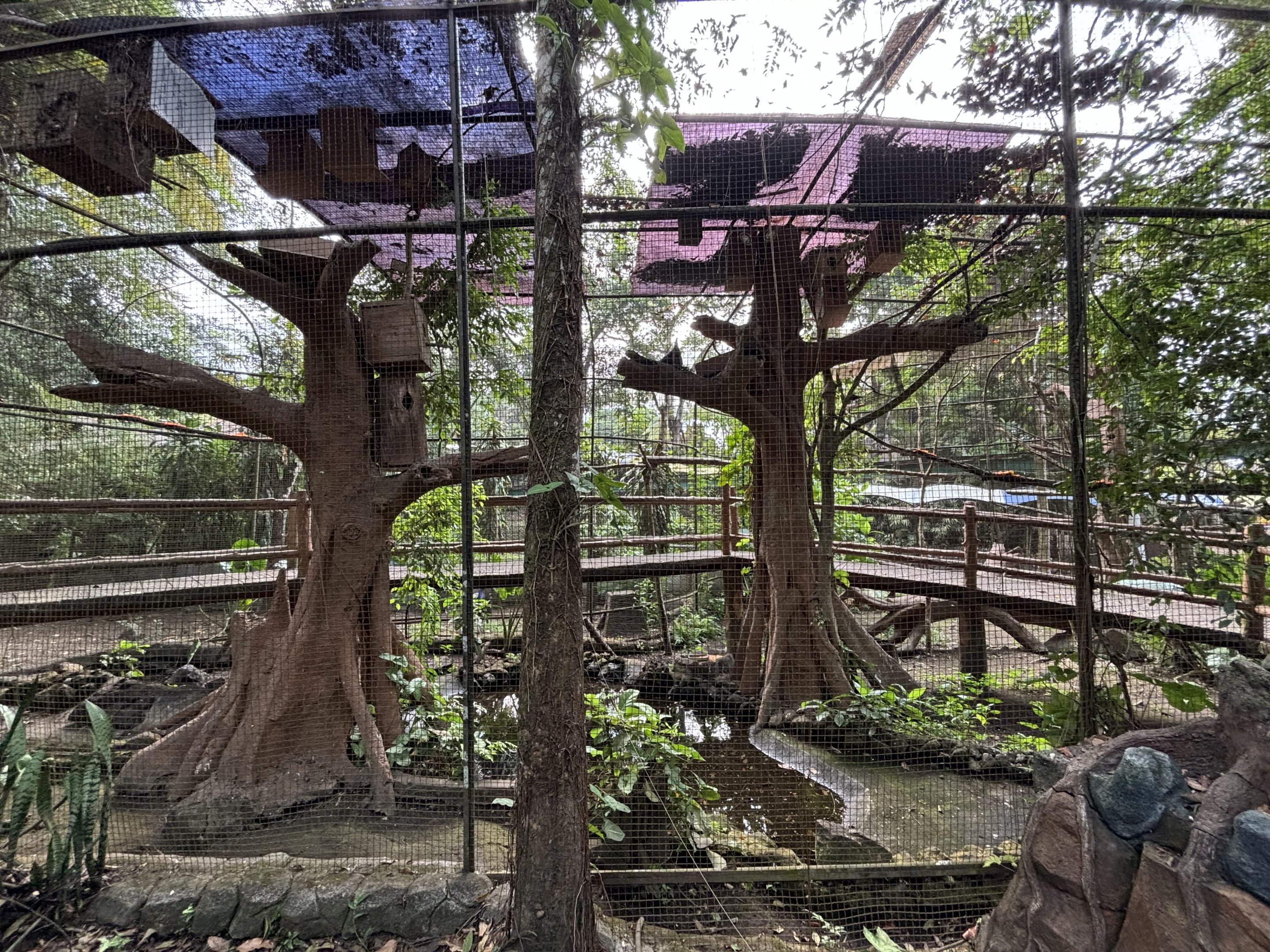 Walk-through Aviary - Bird Forest