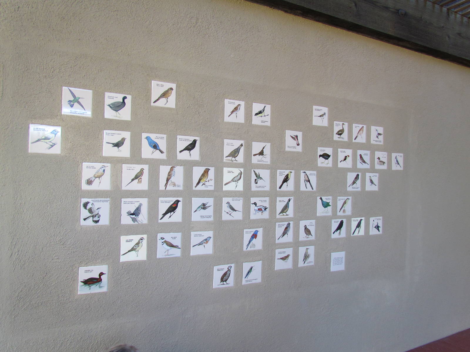 Walk-through Aviary Entrance