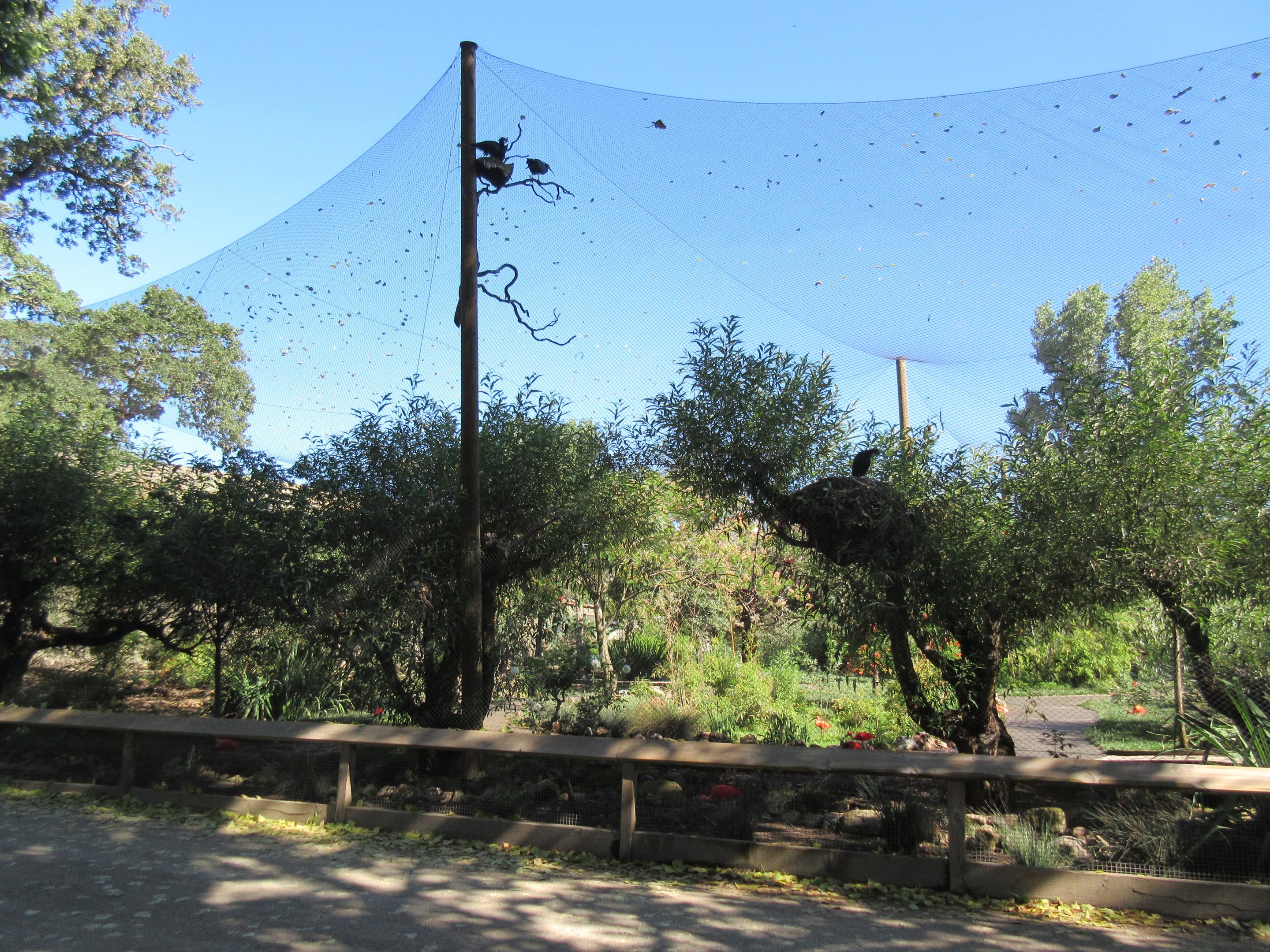 Walk-Through Aviary (exterior view)