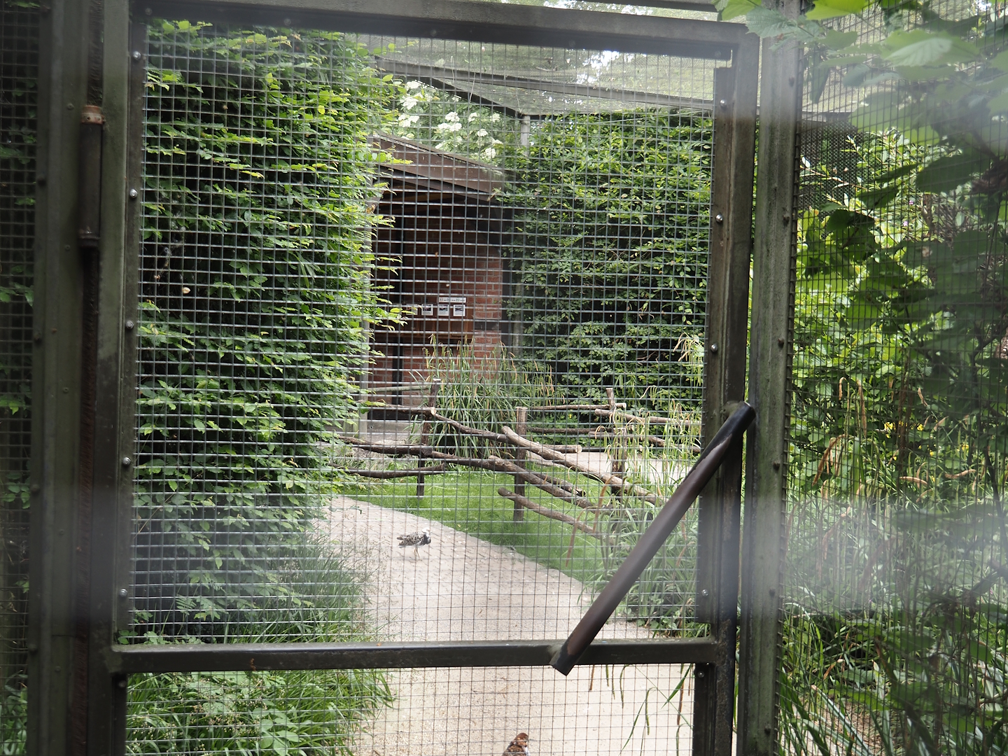Walk-through aviary for European wading birds (Closed at the time of my visit due to breeding season), 2025-05-22