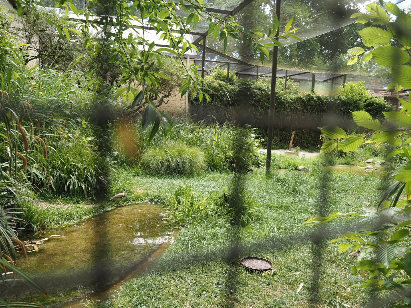 Walk-through aviary for European wading birds (Closed at the time of my visit due to breeding season), 2025-05-22