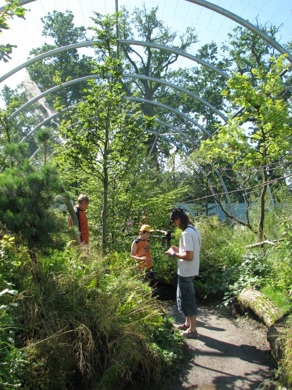 Walk-through aviary for native singing birds