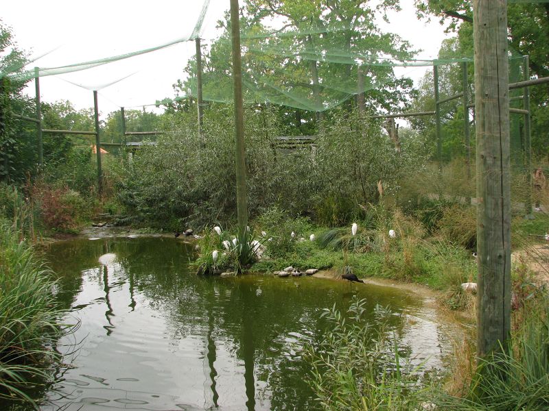 Walk-through aviary for shore birds