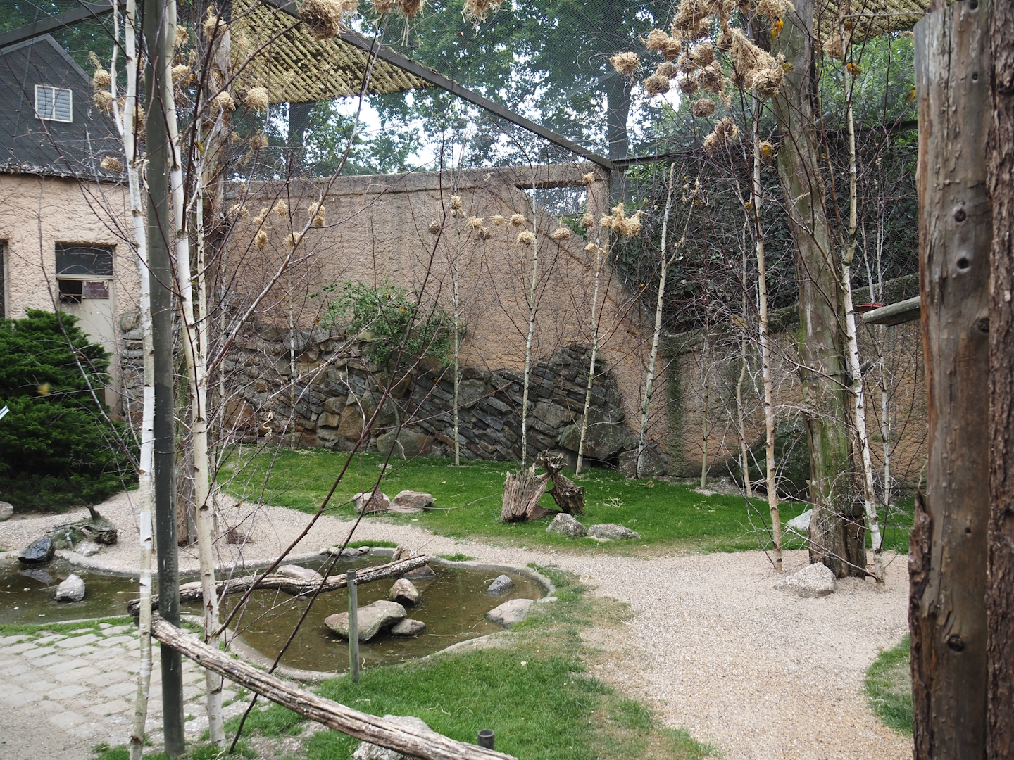 Walk-through aviary for Village weaver and Spotted dikkop, 2025-05-22