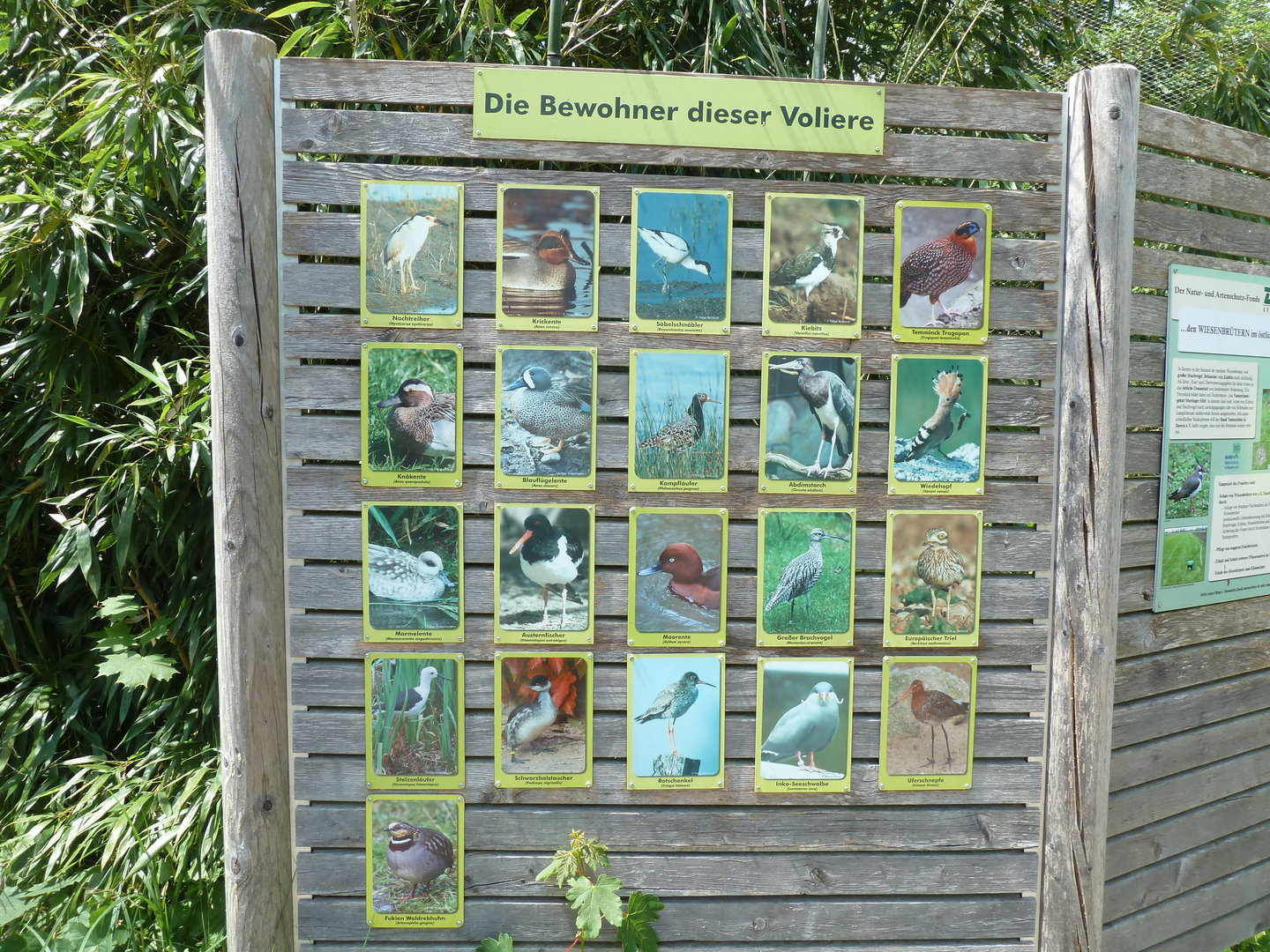 Walk through aviary for wading birds