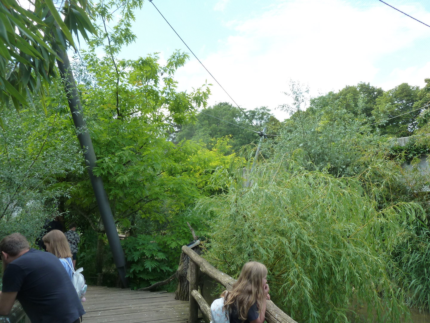 Walk through aviary for wading birds