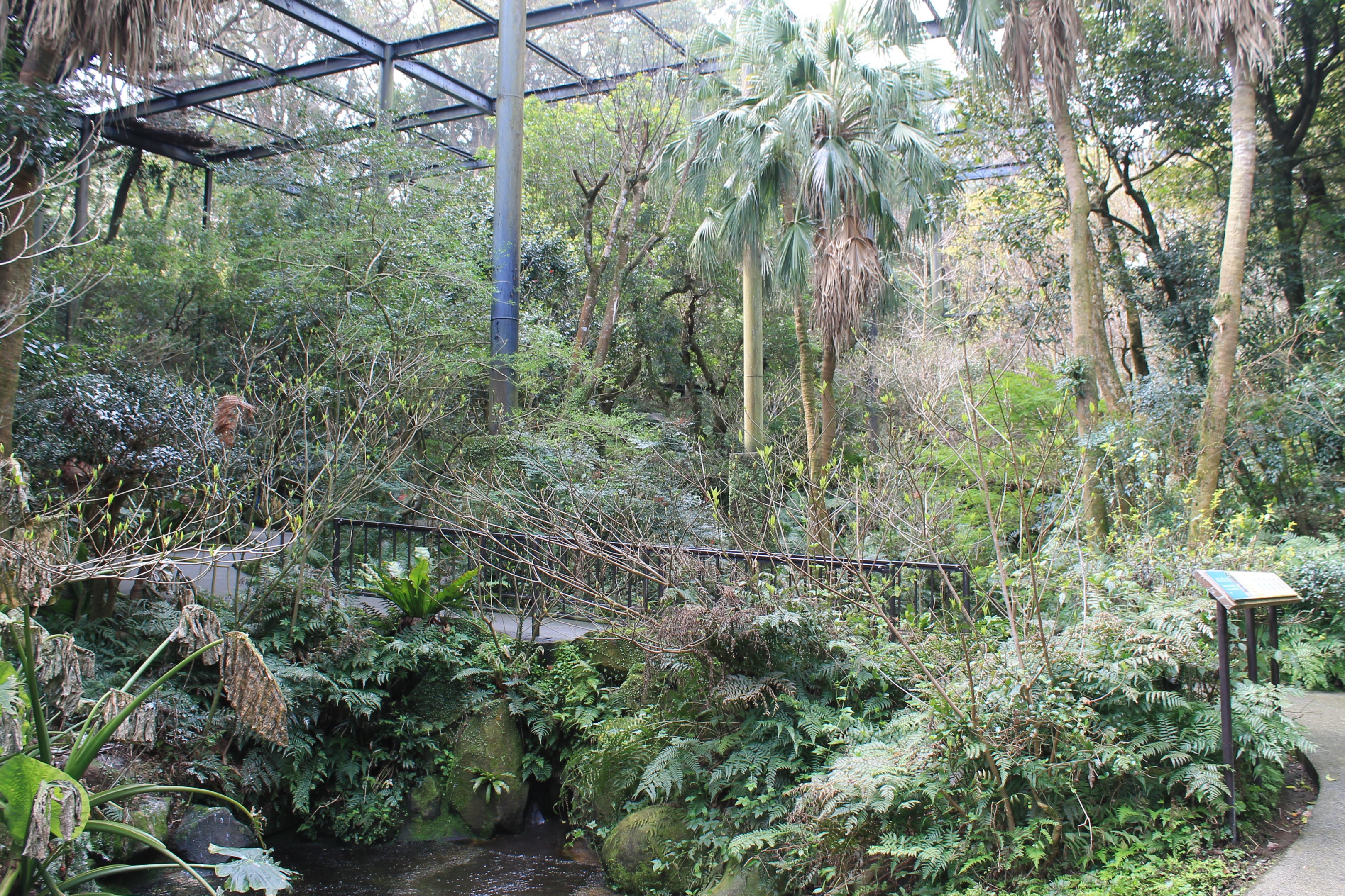 Walk-through aviary - Hirakawa Zoo (Kagoshima)