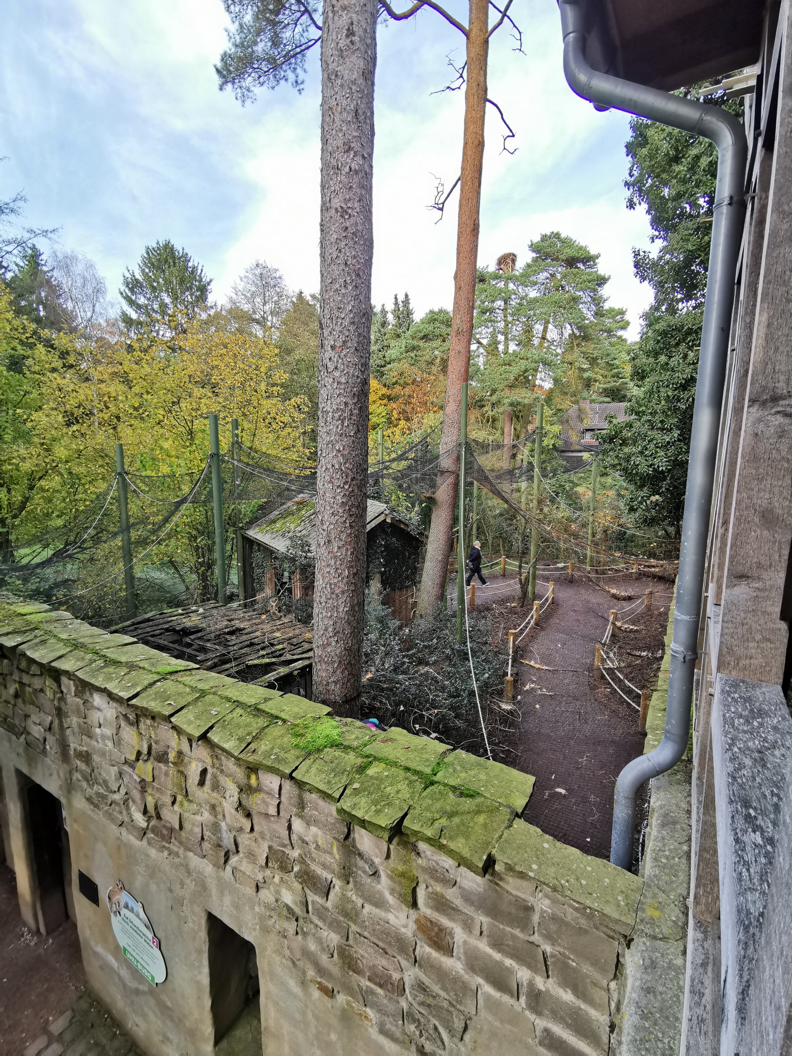 Walk-through aviary in Uhu-Burg