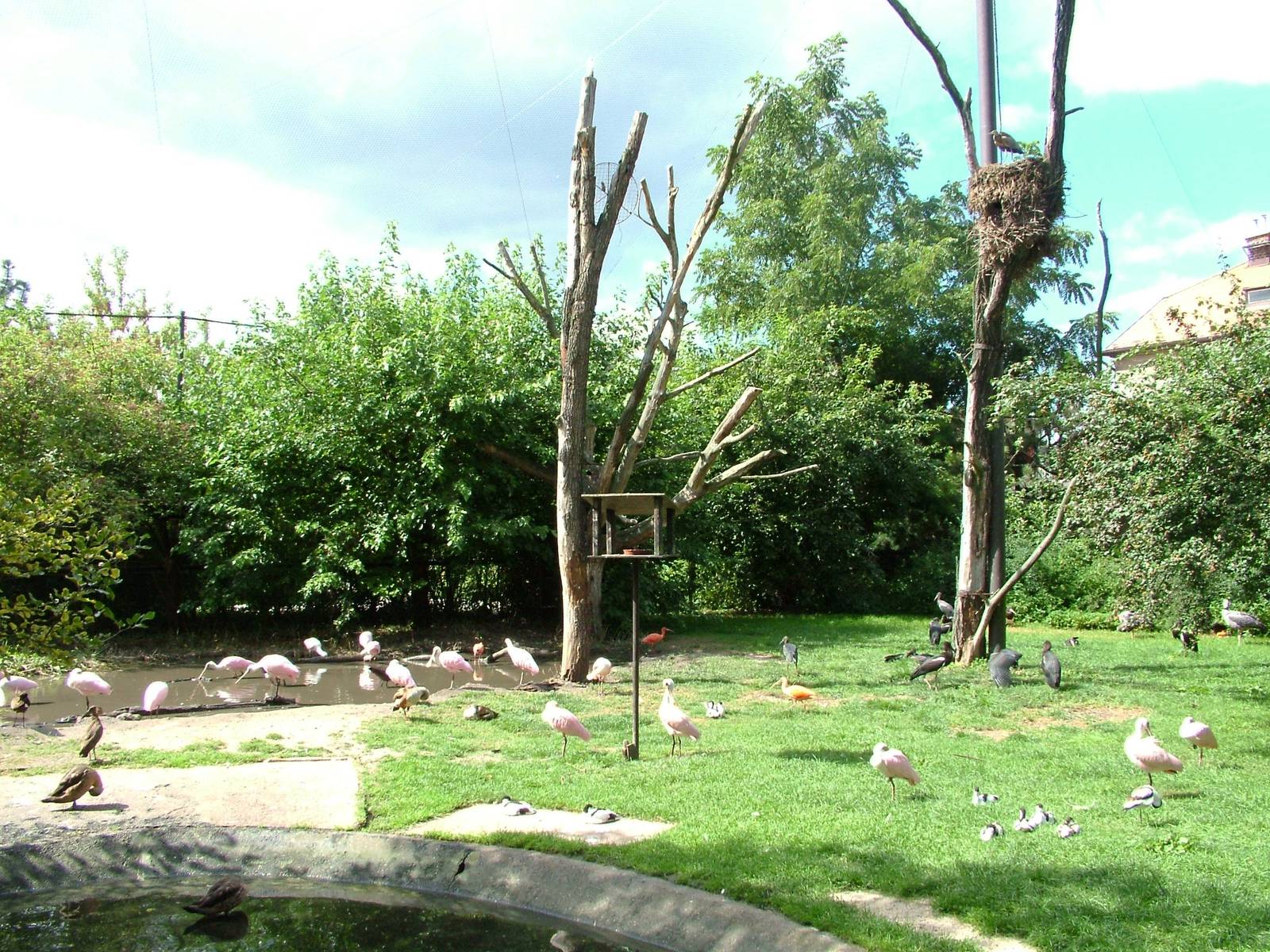 Walk-through Aviary Interior at Dvur Kralove, 27/08/12