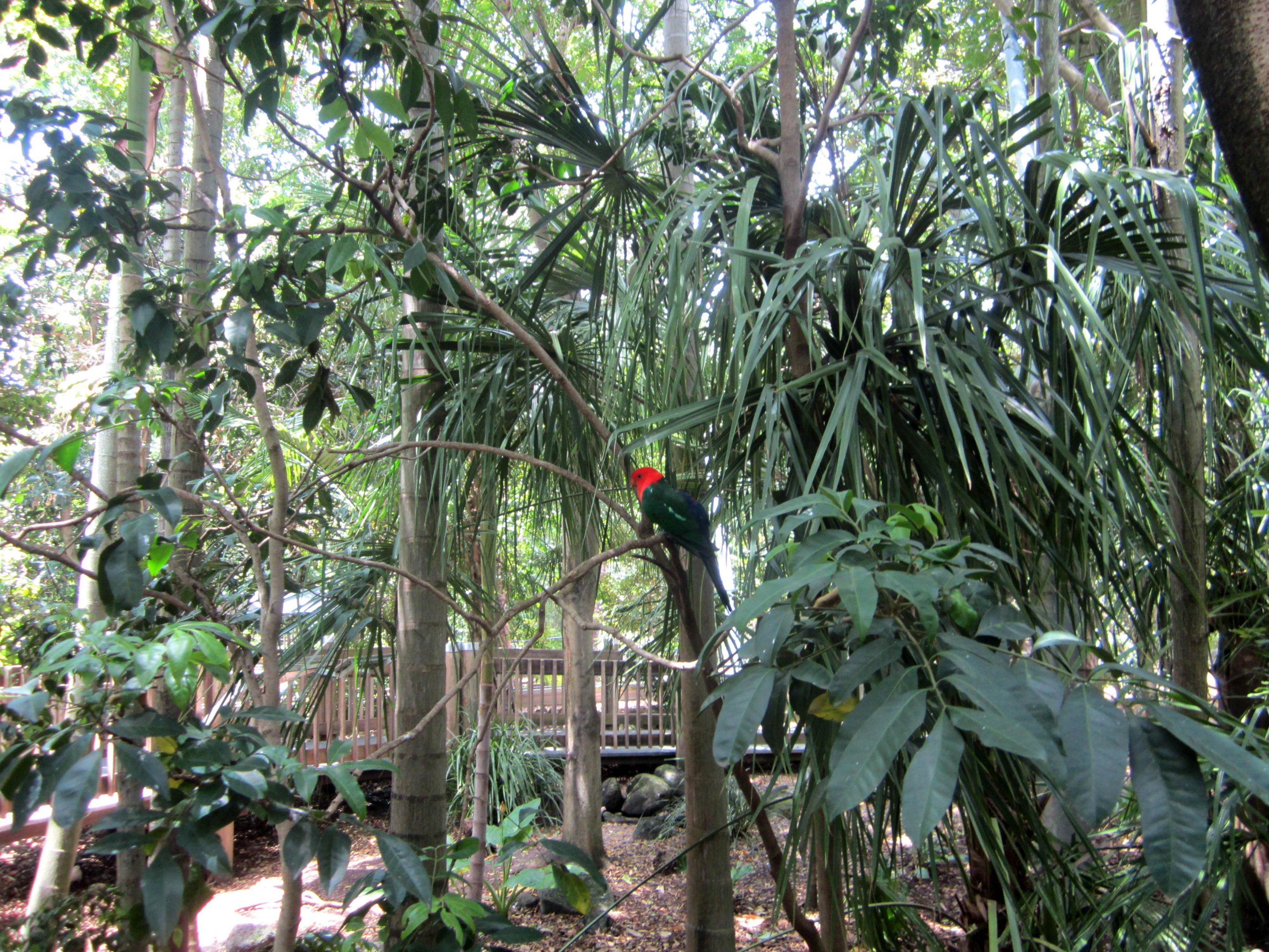 Walk-through Aviary Interior