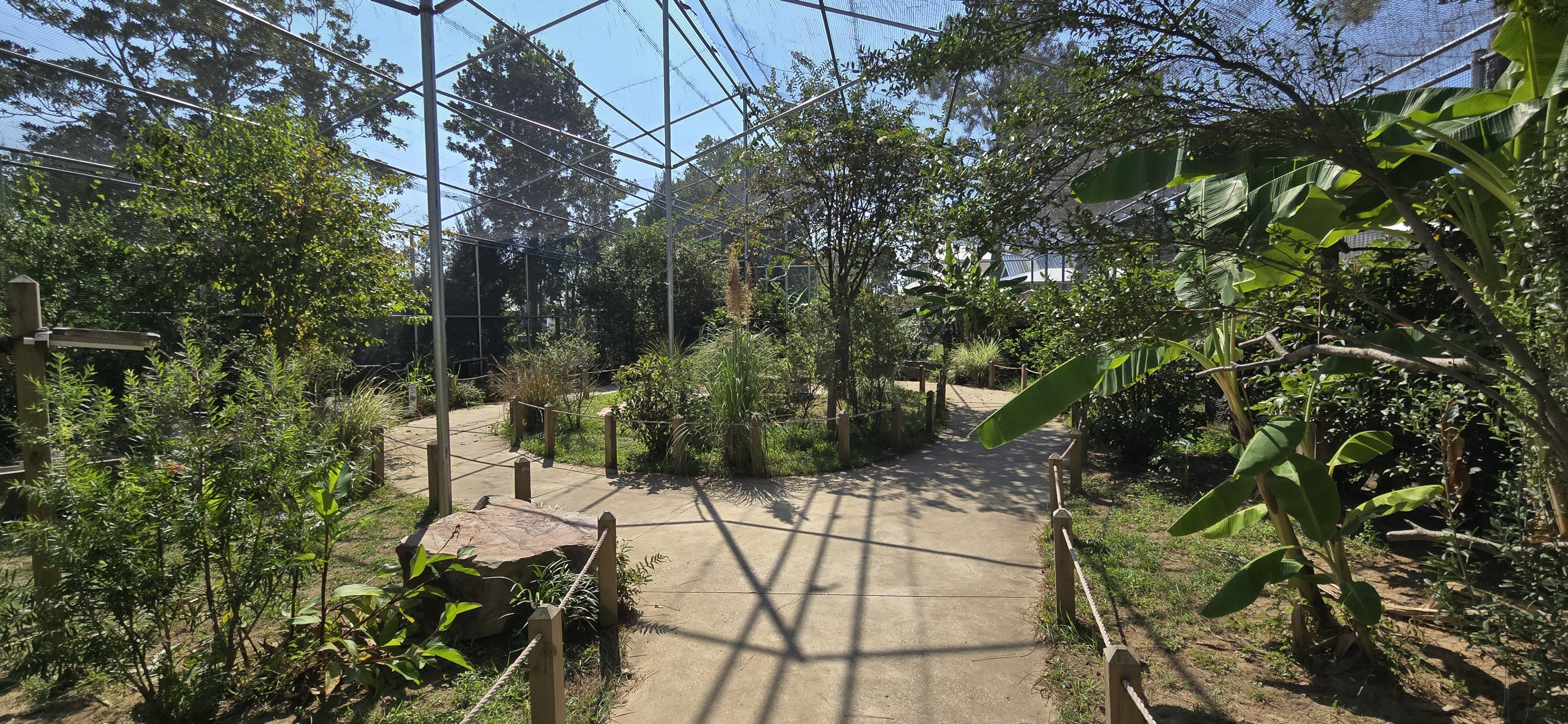 Walk through Aviary interior