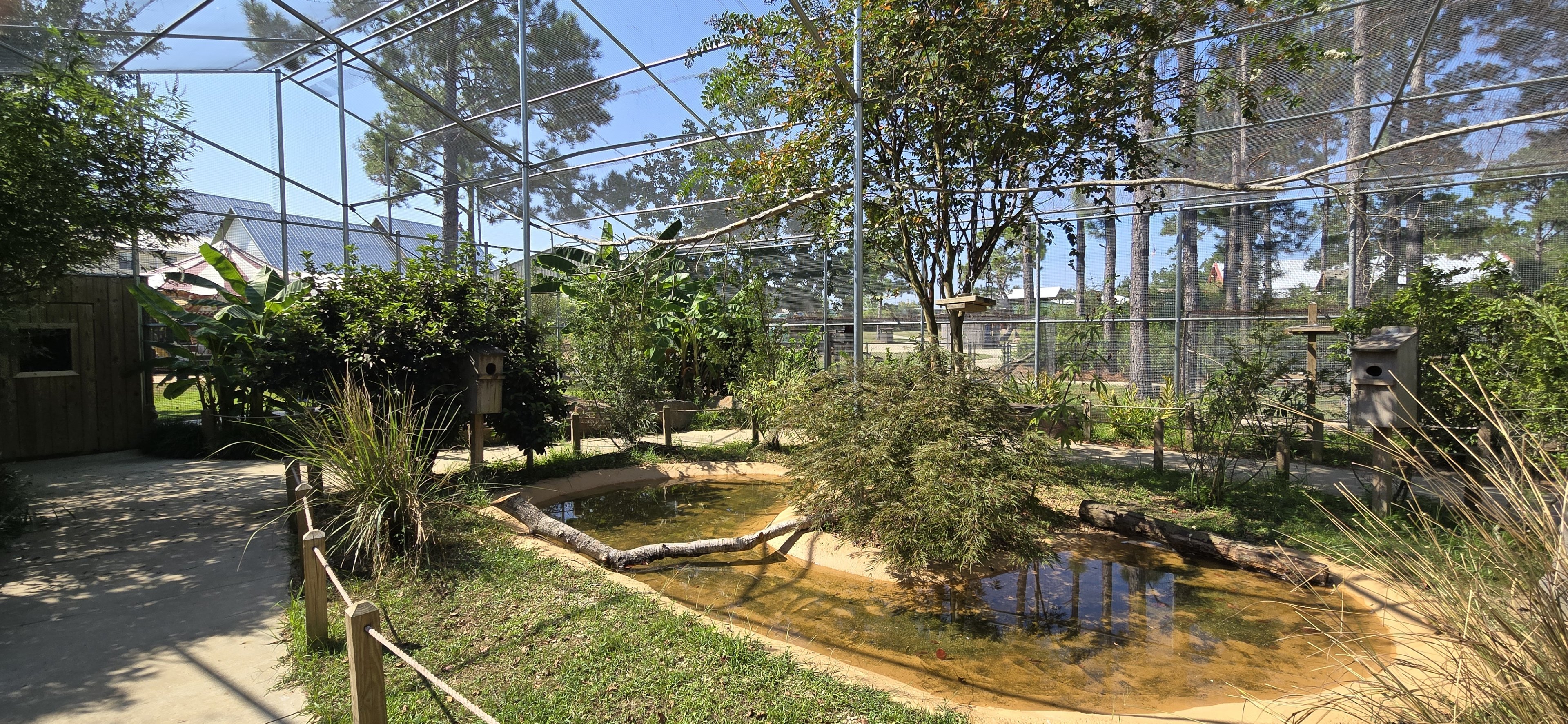 Walk through Aviary interior