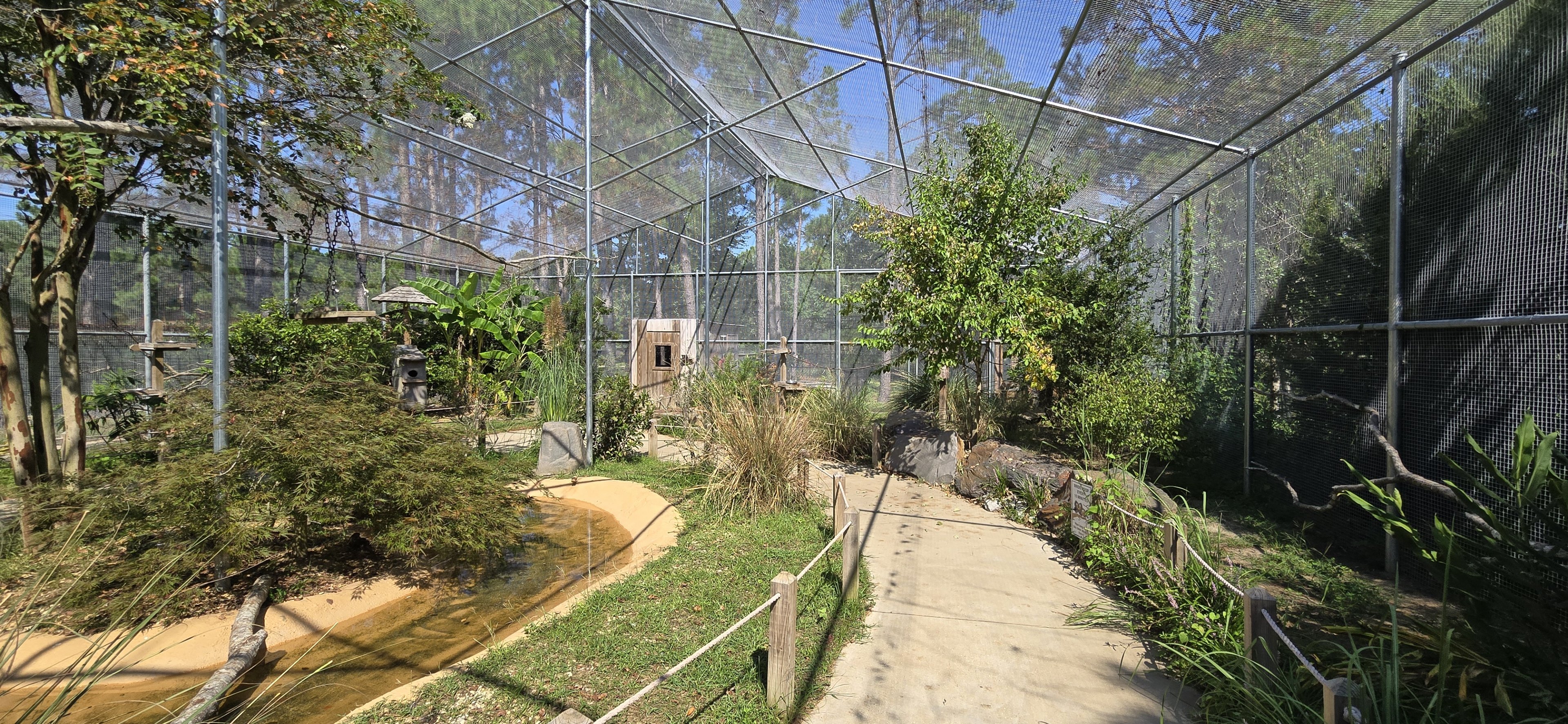 Walk through Aviary interior