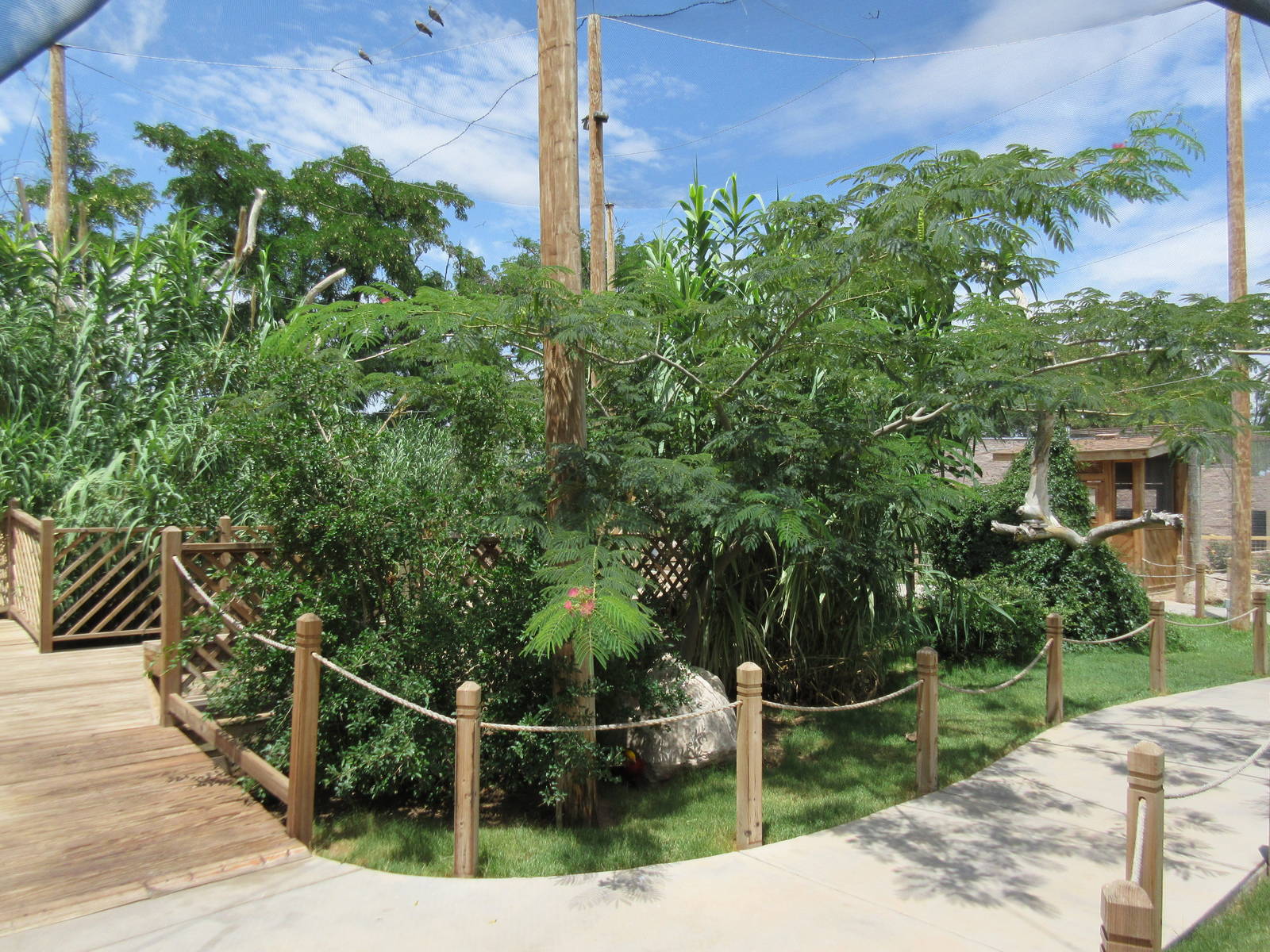 Walk-Through Aviary (New in 2012)