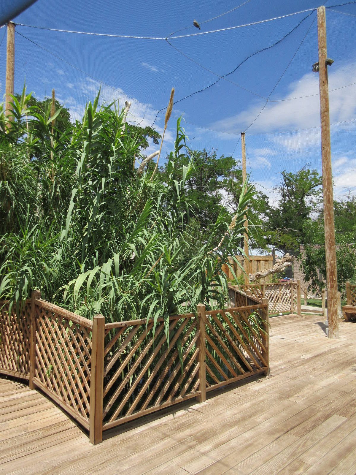 Walk-Through Aviary (New in 2012)