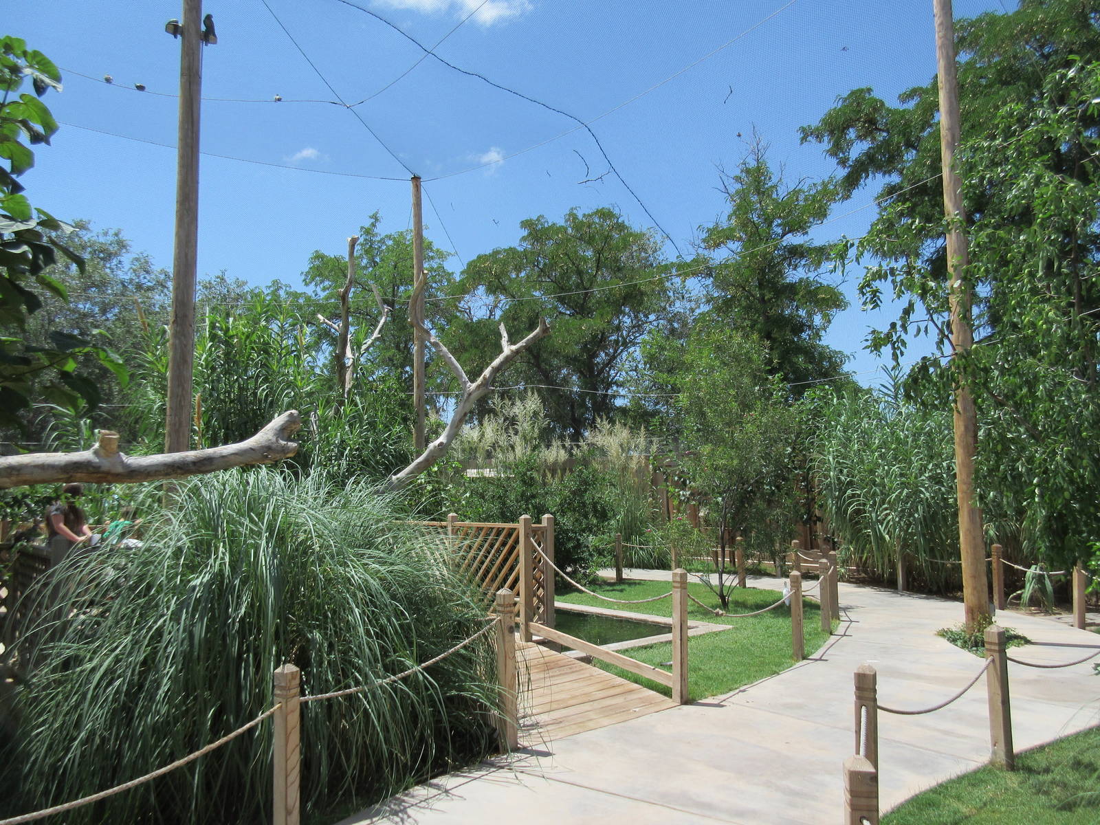 Walk-Through Aviary (New in 2012)