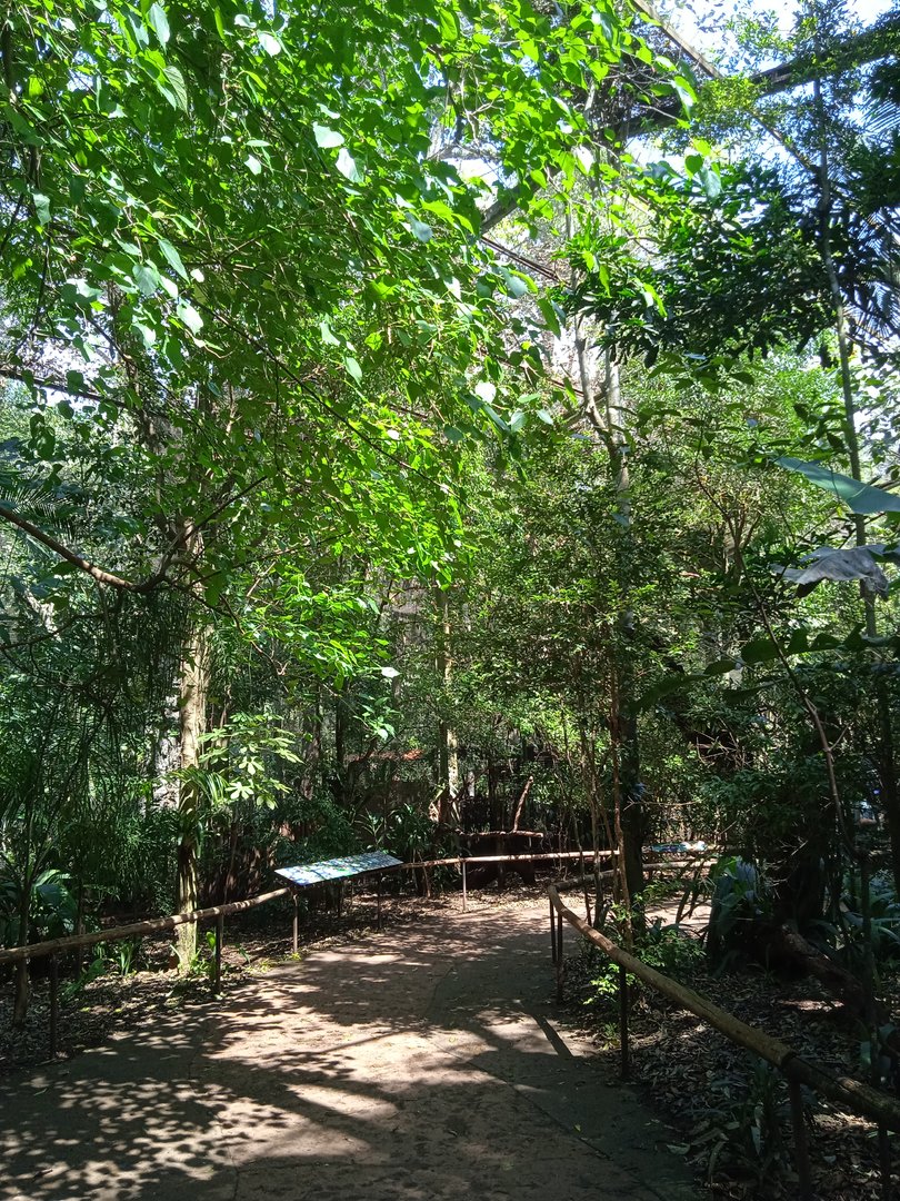 Walk-through aviary of Mata Altantica