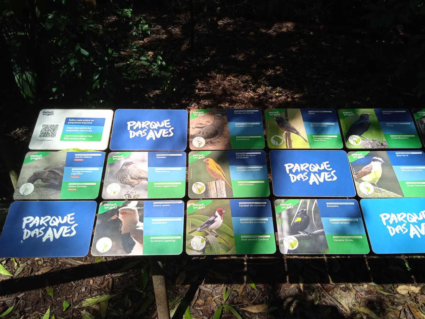 Walk-through aviary of Mata Altantica