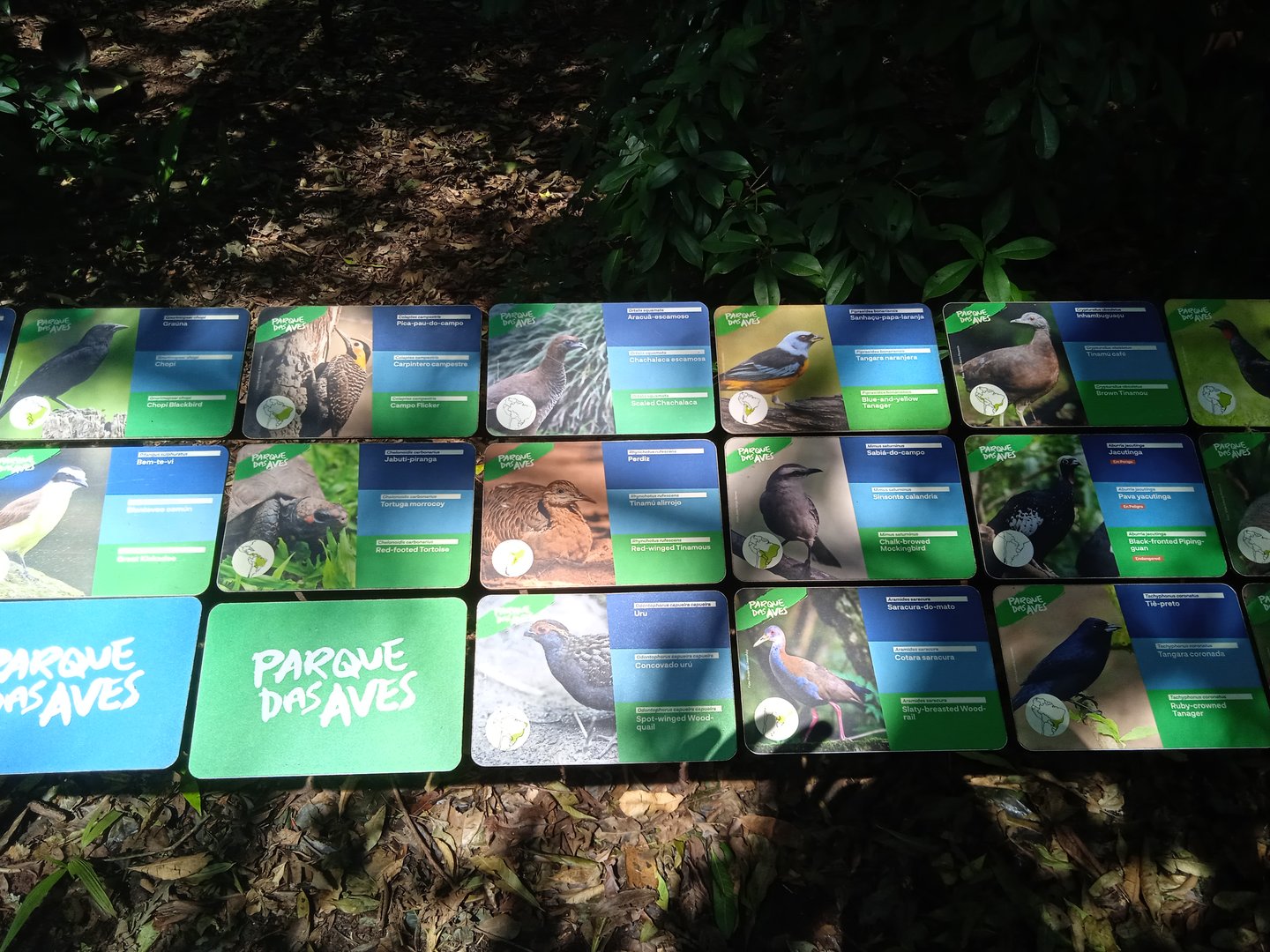 Walk-through aviary of Mata Altantica