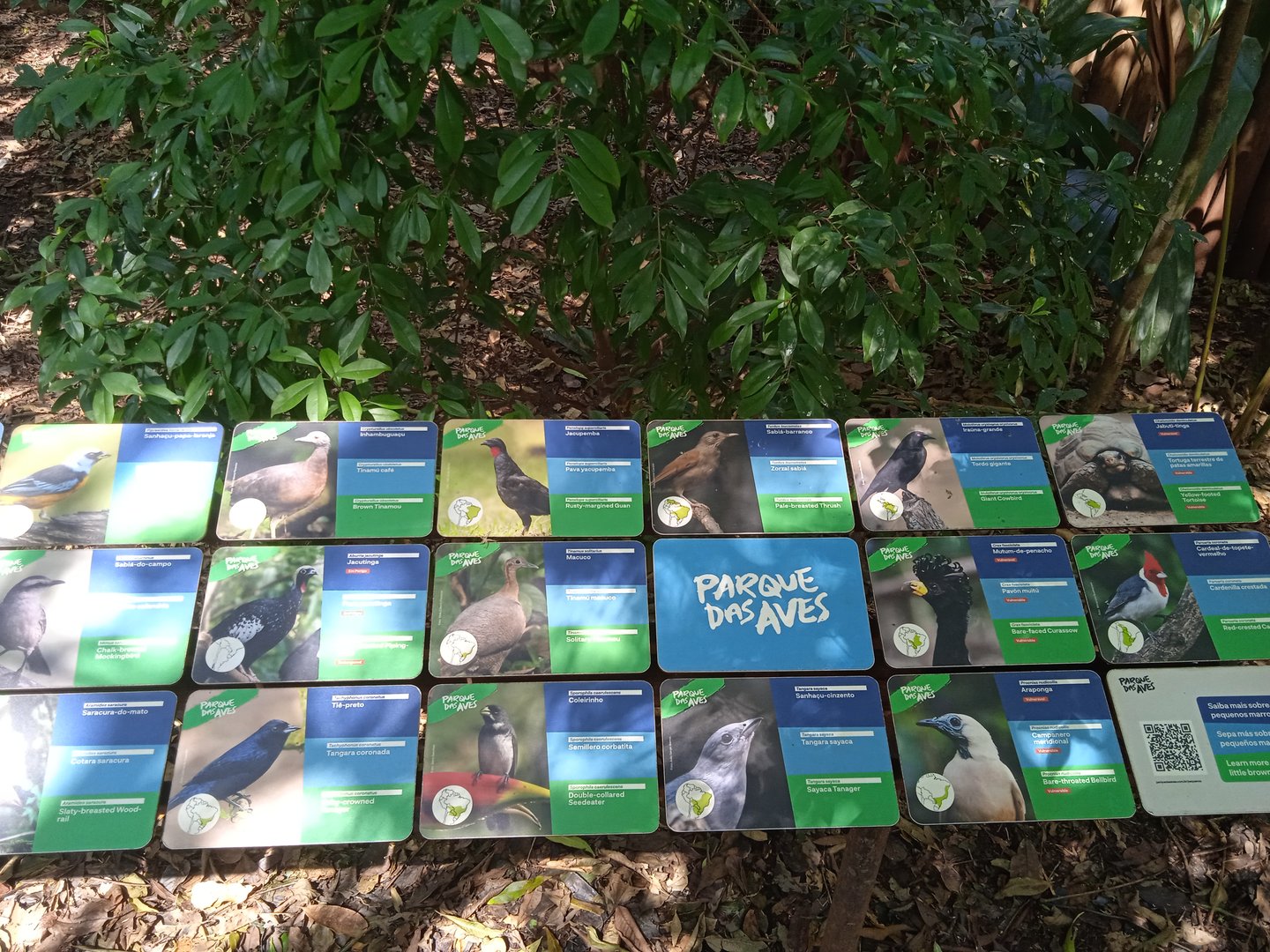 Walk-through aviary of Mata Altantica