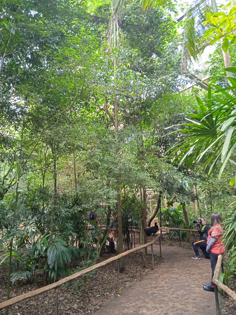 Walk-through aviary of Mata Altantica