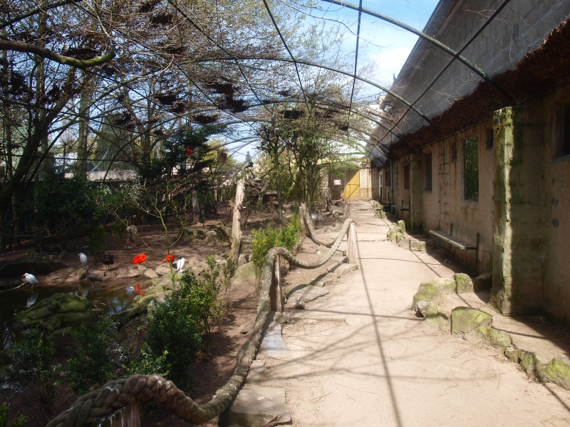 Walk-through aviary overview (April 19th, 2015)