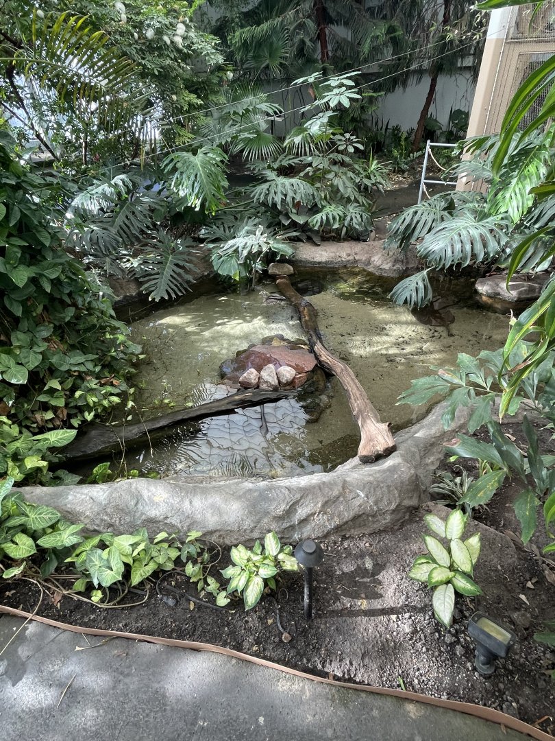 Walk-Through Aviary Pools
