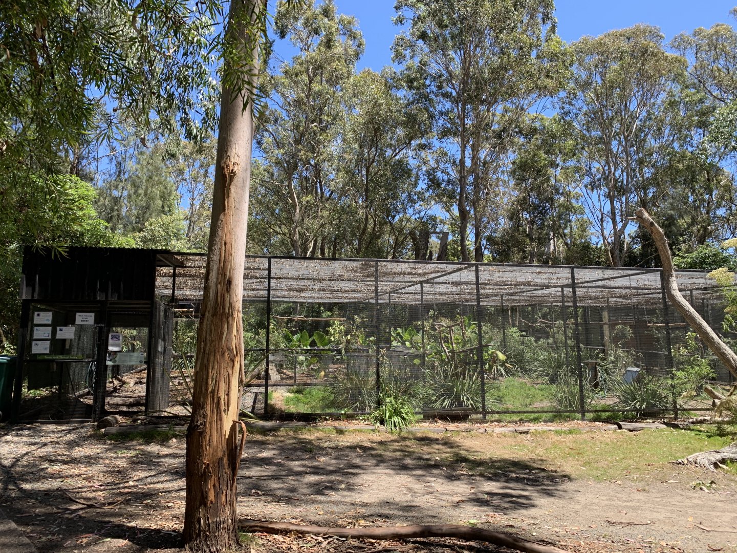 Walk-through Aviary (Potoroo Palace)