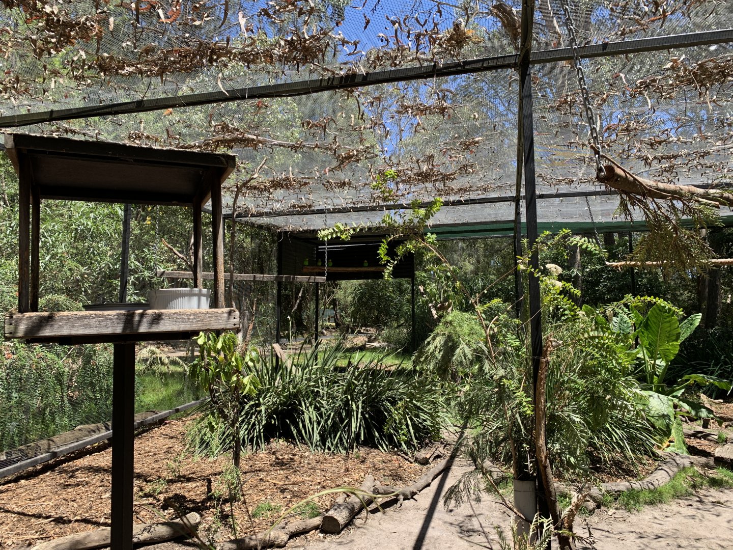 Walk-through Aviary (Potoroo Palace)