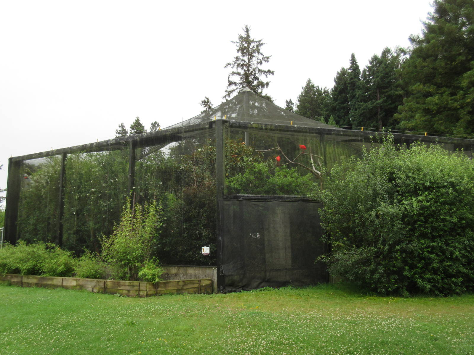 Walk-Through Aviary (rear view)