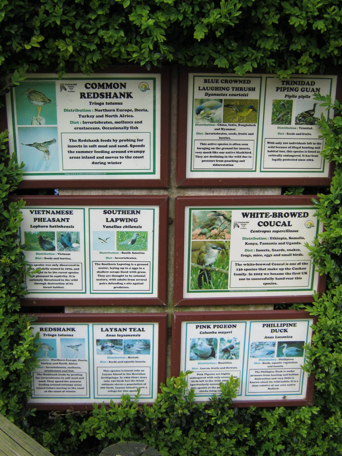 Walk-Through Aviary Signage.