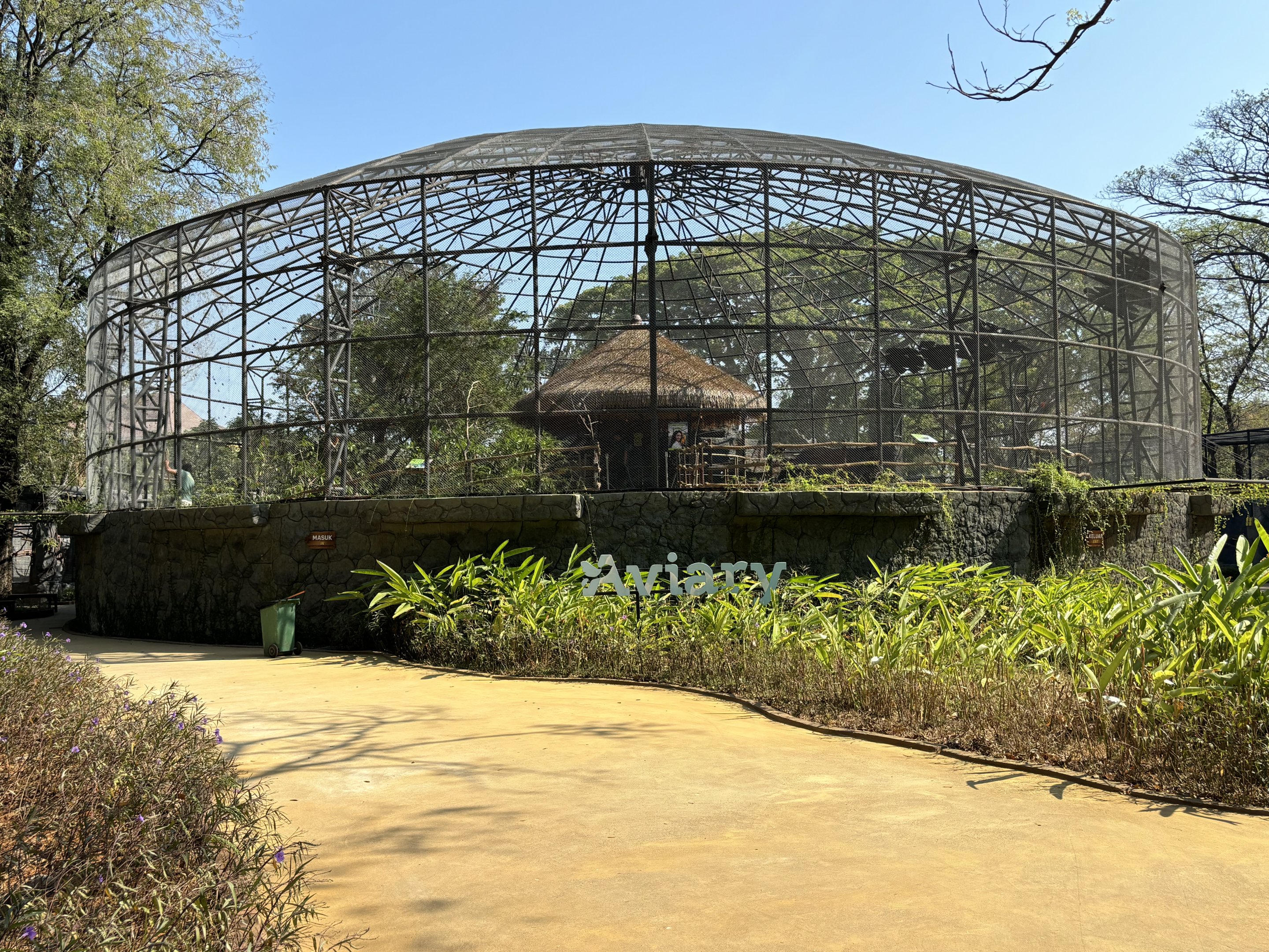 Walk-through Aviary - Solo Safari