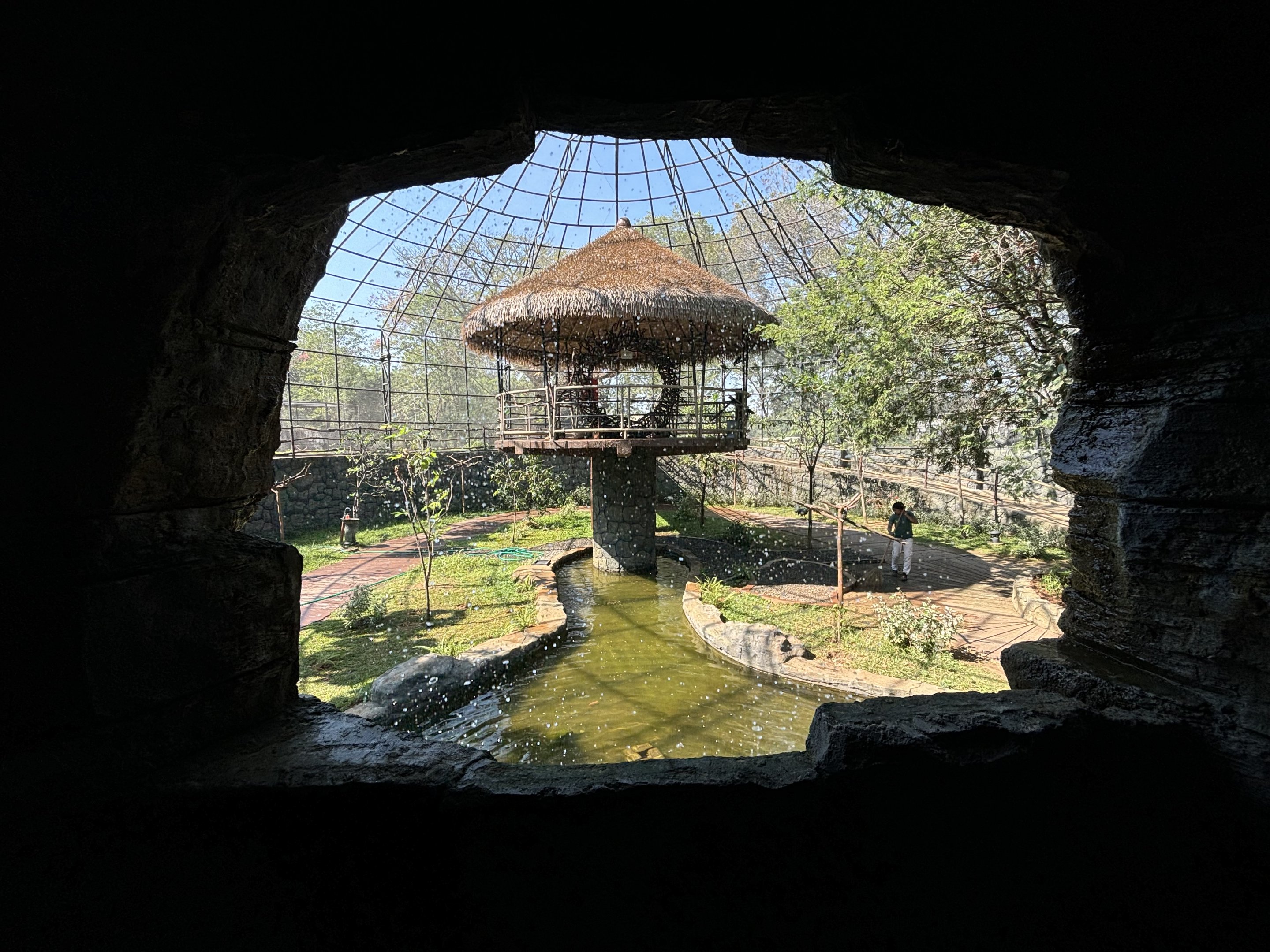 Walk-through Aviary - Solo Safari