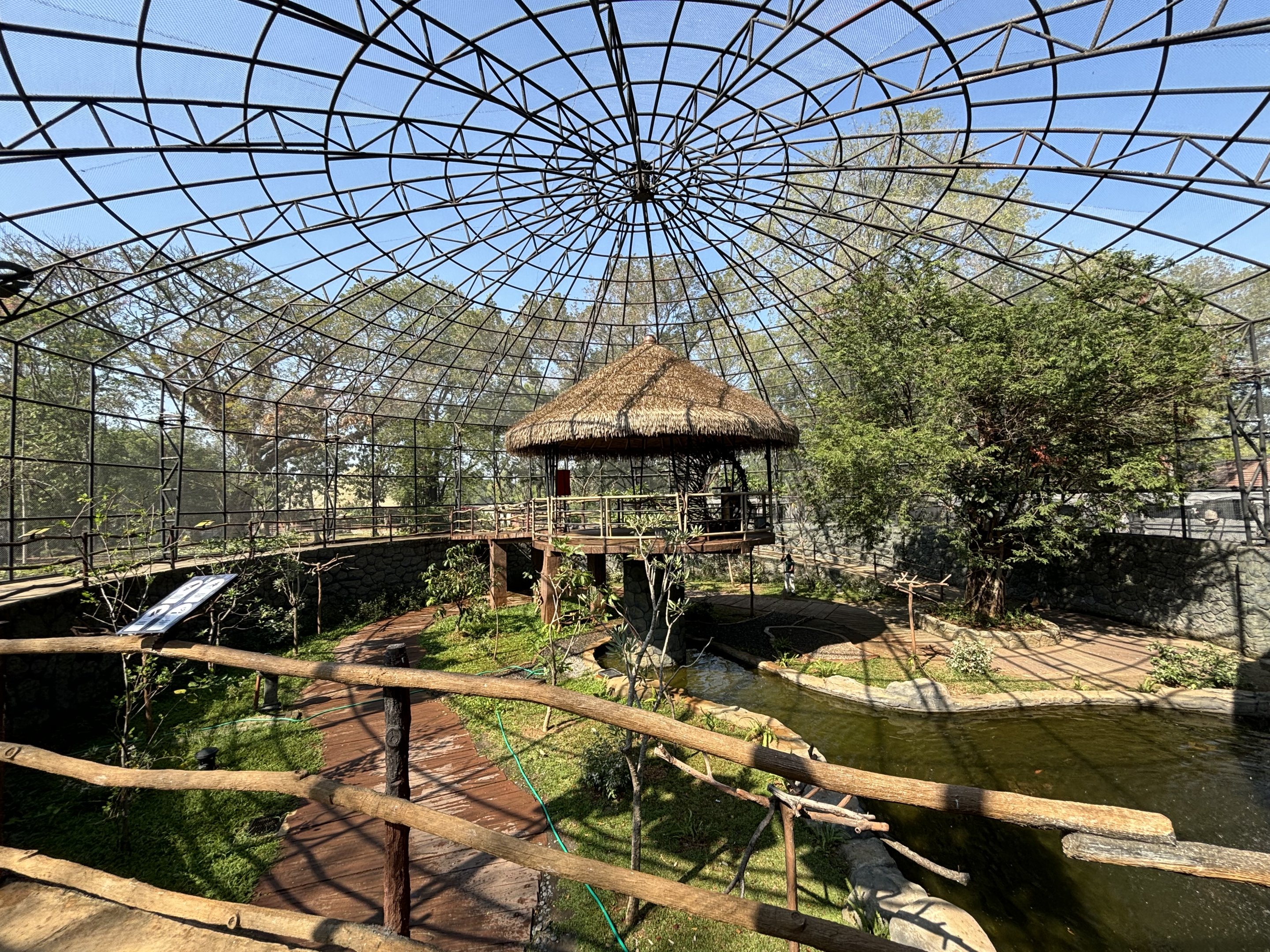 Walk-through Aviary - Solo Safari