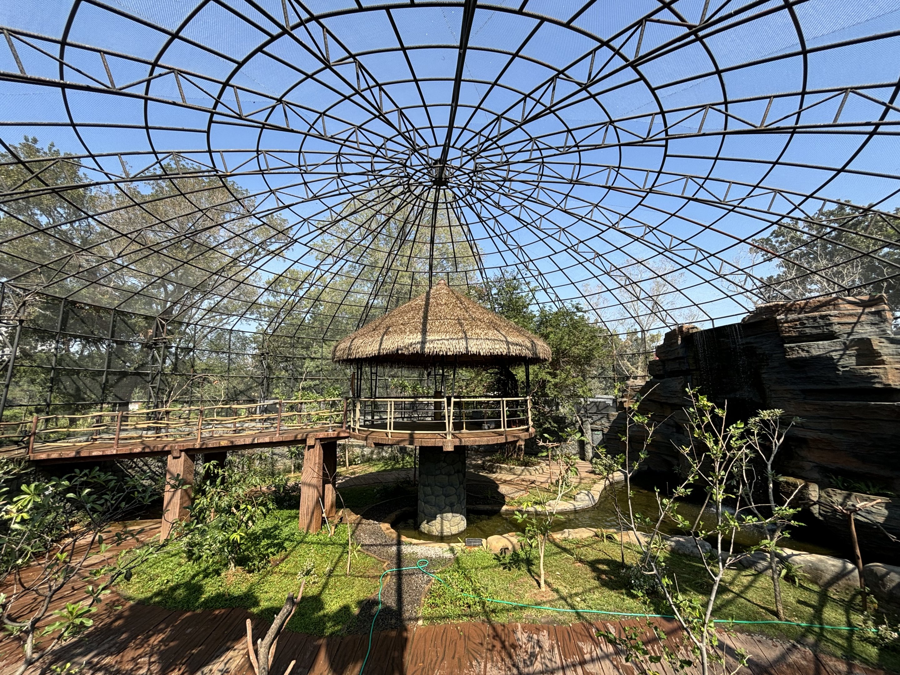 Walk-through Aviary - Solo Safari